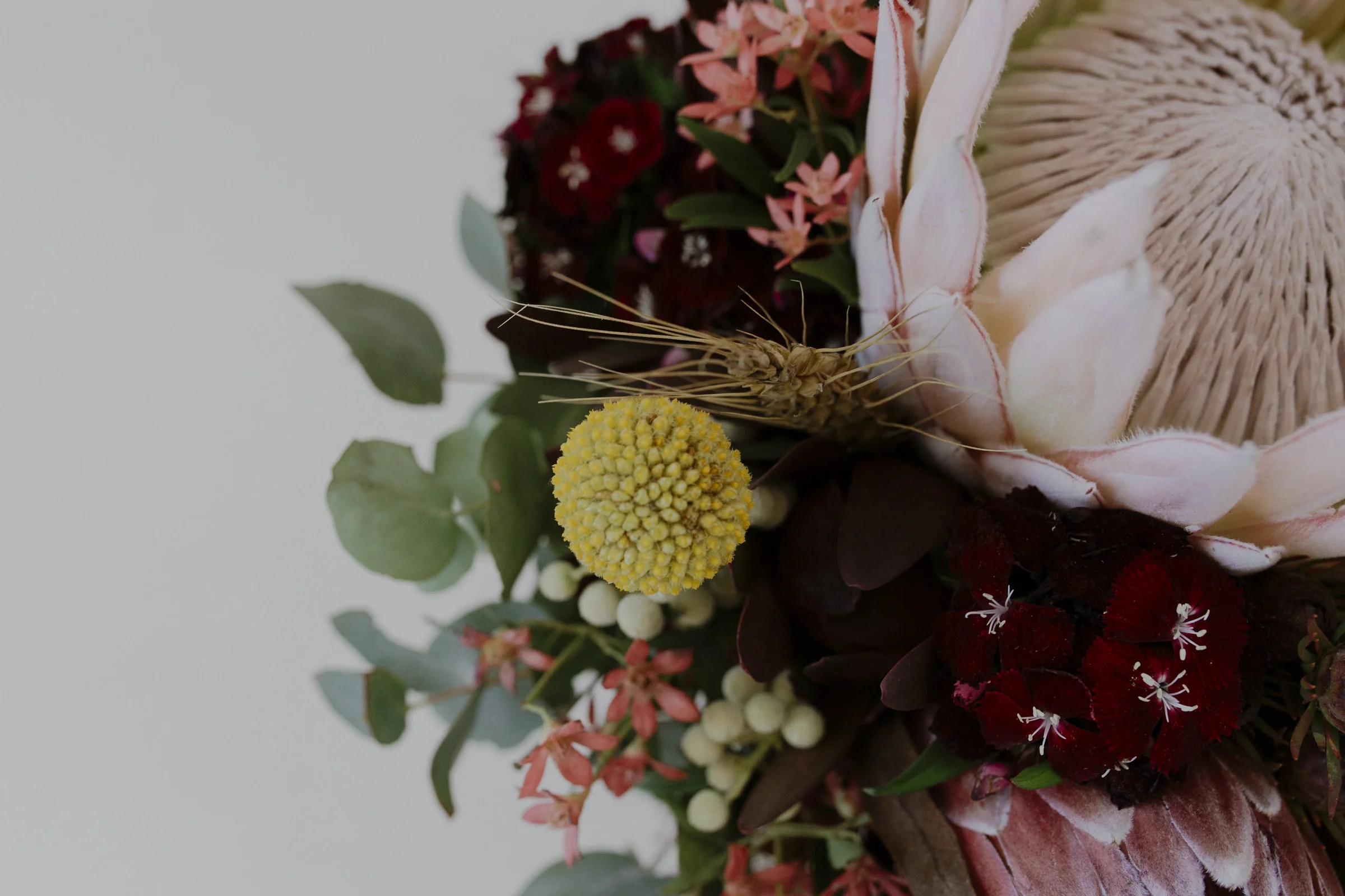 Wedding photography Sunshine Coast