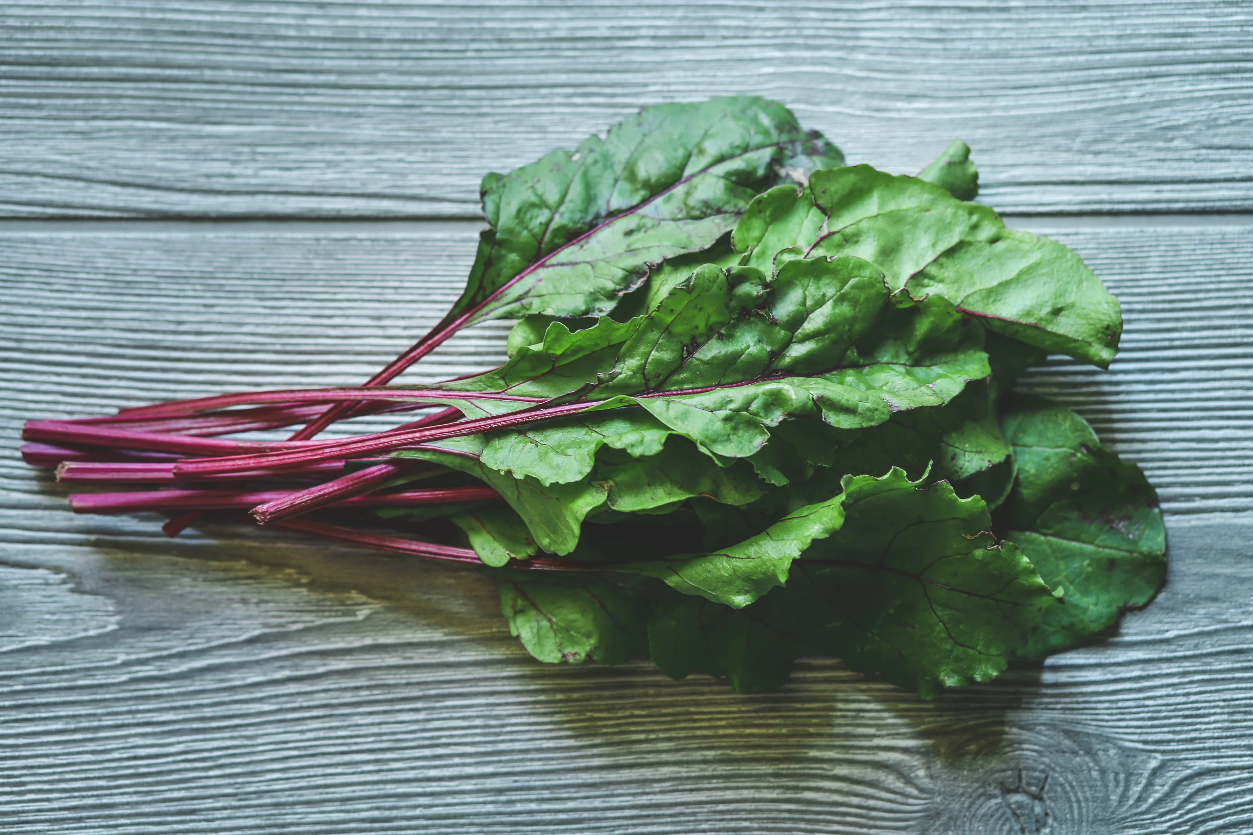 AdobeStock_152904740.jpeg