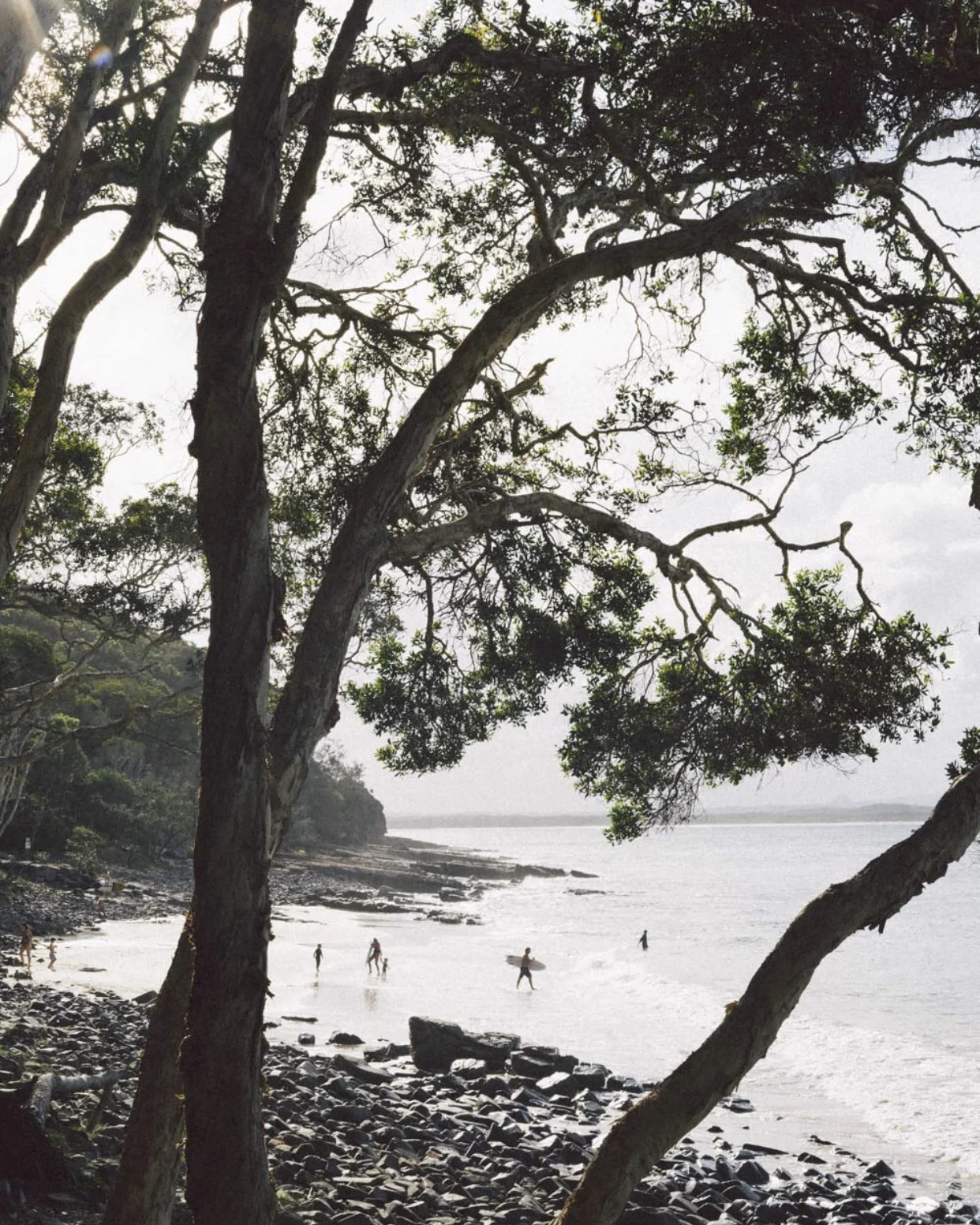 Tea Tree Bay, Noosa National Park Image: @AimeeDodgePhotography