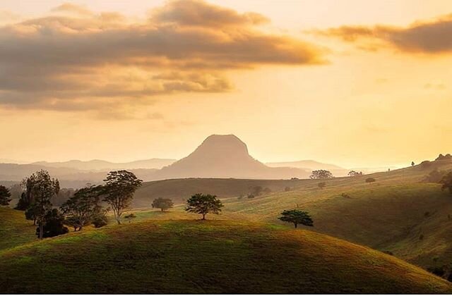 That golden glow of the Hinterland captured in all its wonder by @george_berg_photography