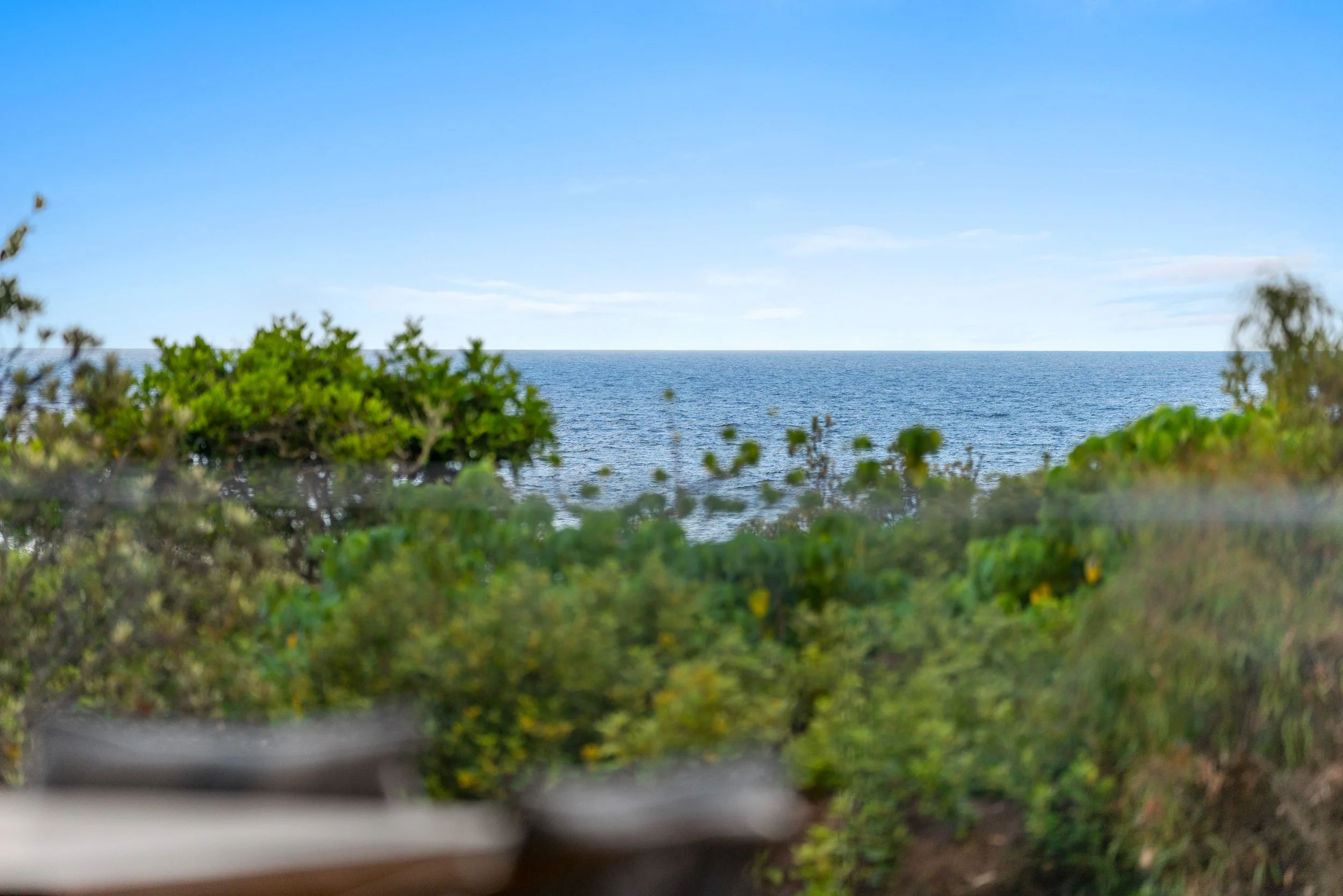 _DSC8046.jpg