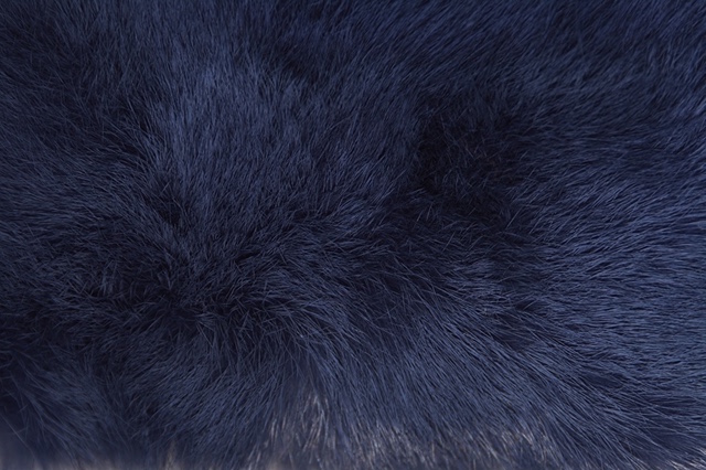 Midnight Blue 2019.jpg