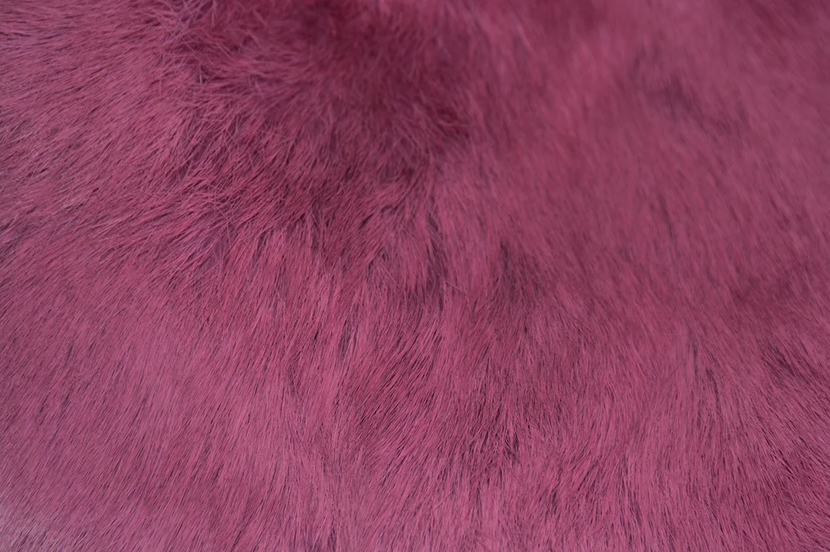 Magenta 2019.jpg