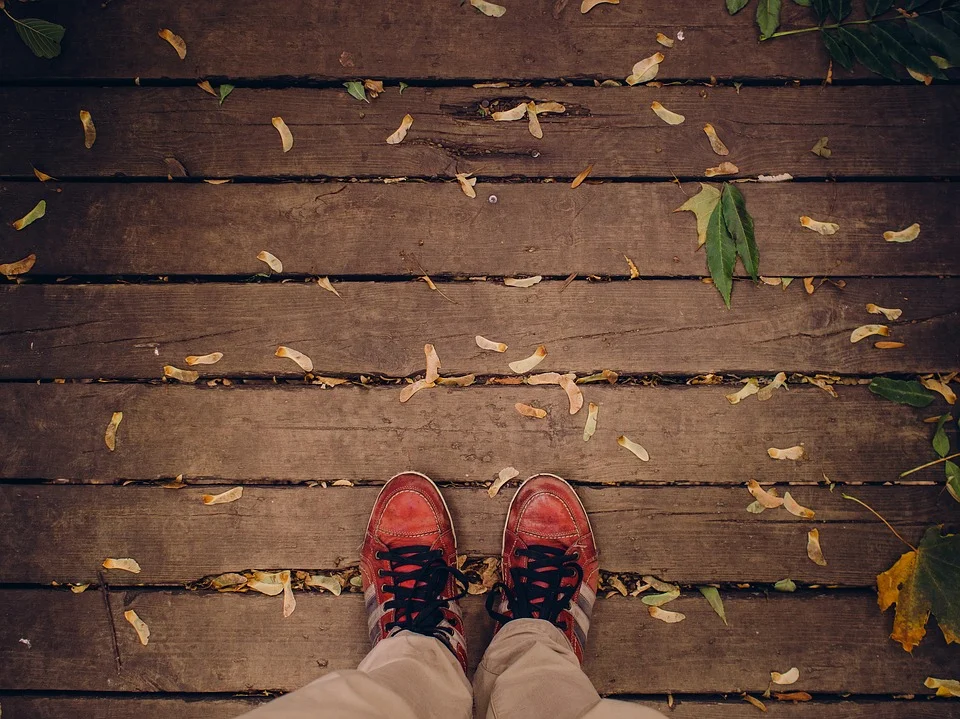 shoes-2619481_960_720.jpg
