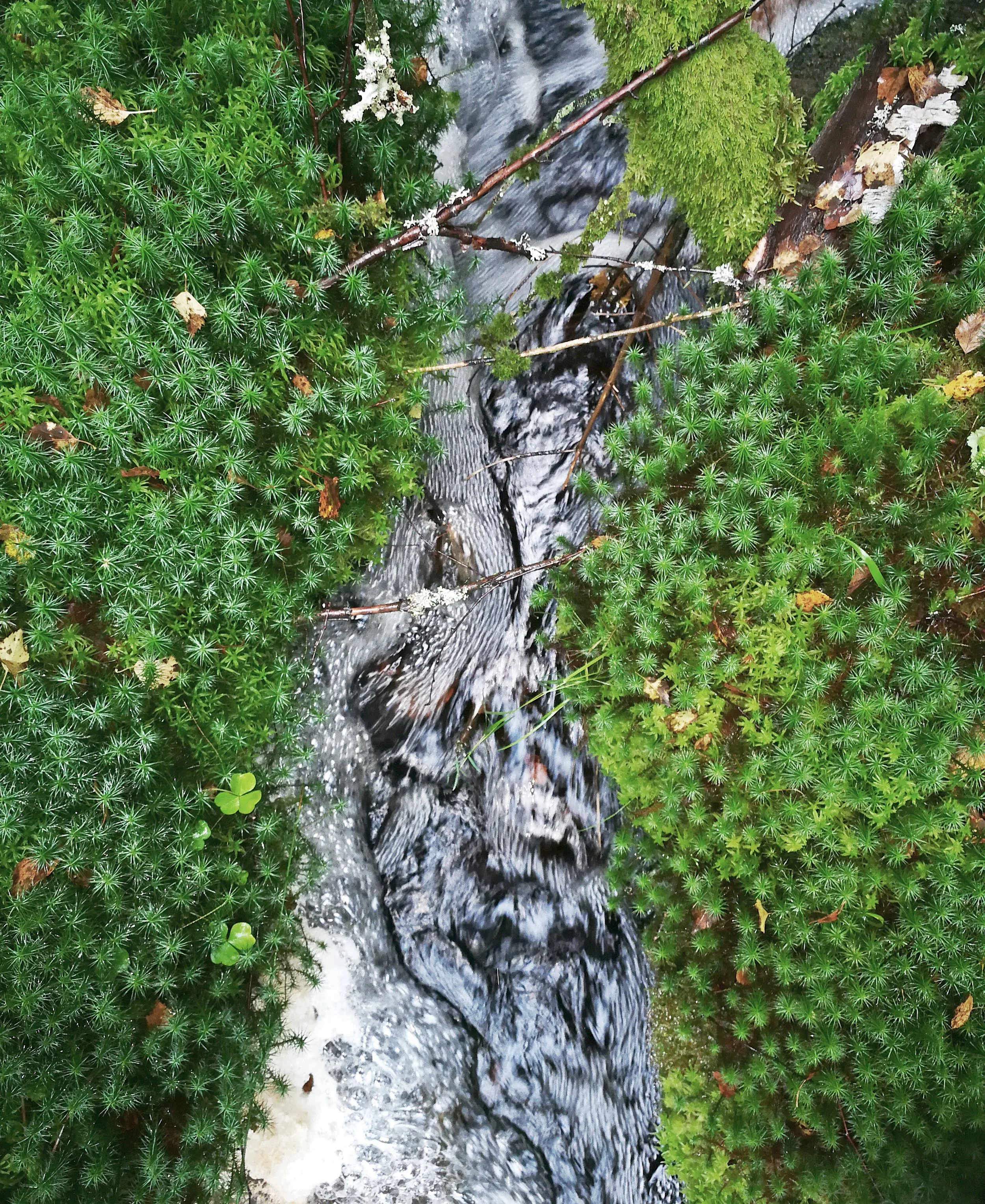  Foto: Vara med Naturen