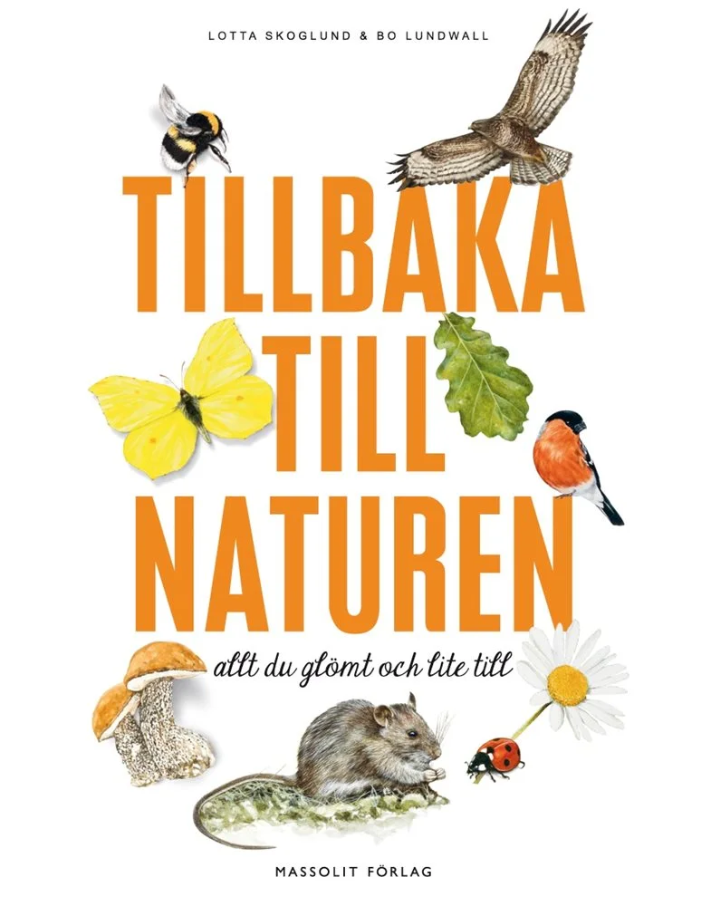 tillbaka-till-naturen-skoglund-lundwall.jpeg