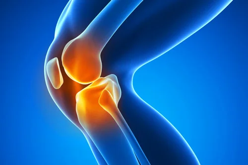 Knee.jpg