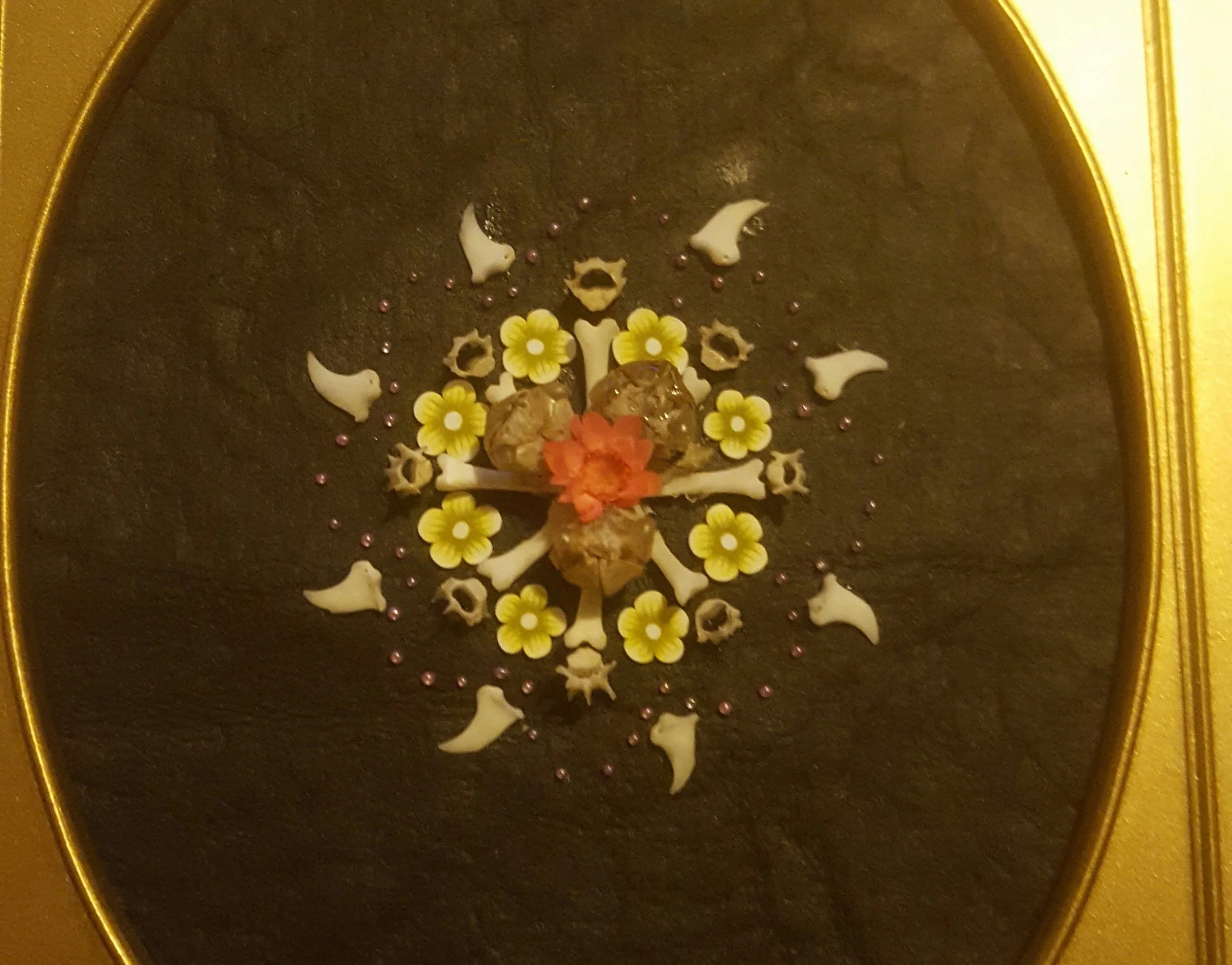 20161020_014248.jpg