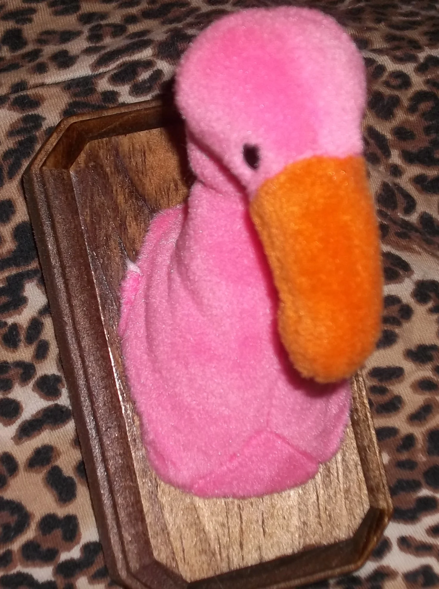 100_1091.JPG