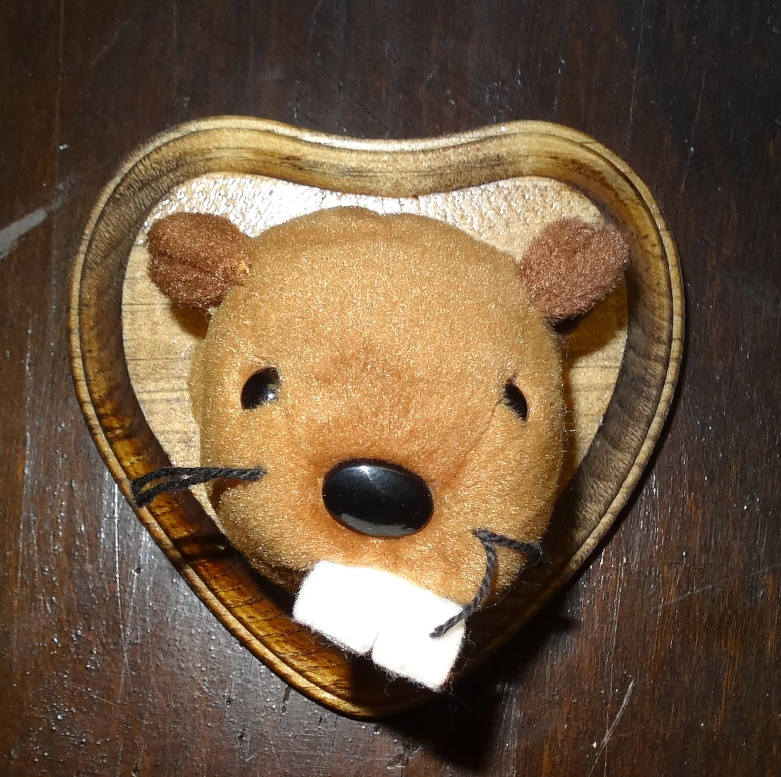 DSC02172.JPG