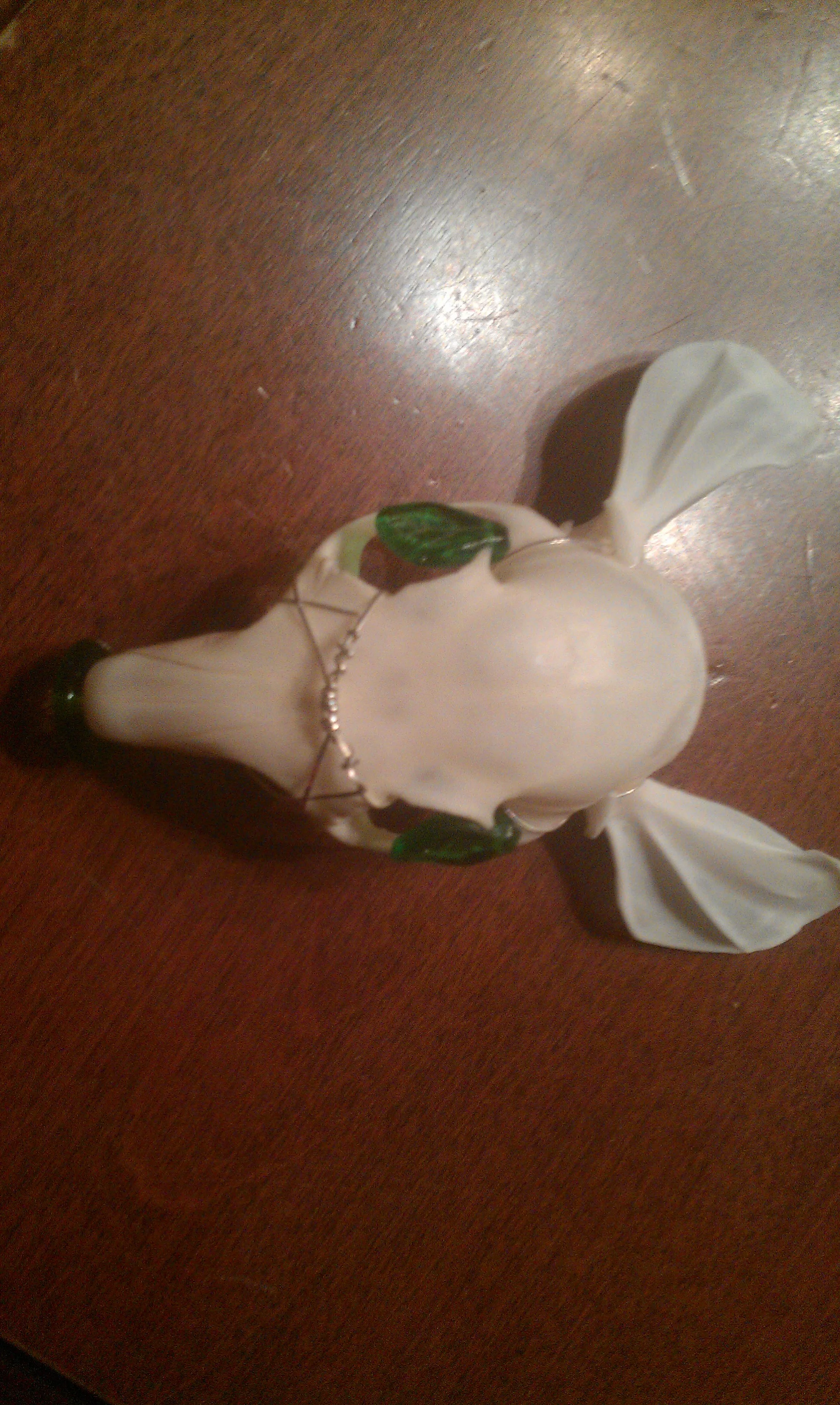 IMAG0202.jpg