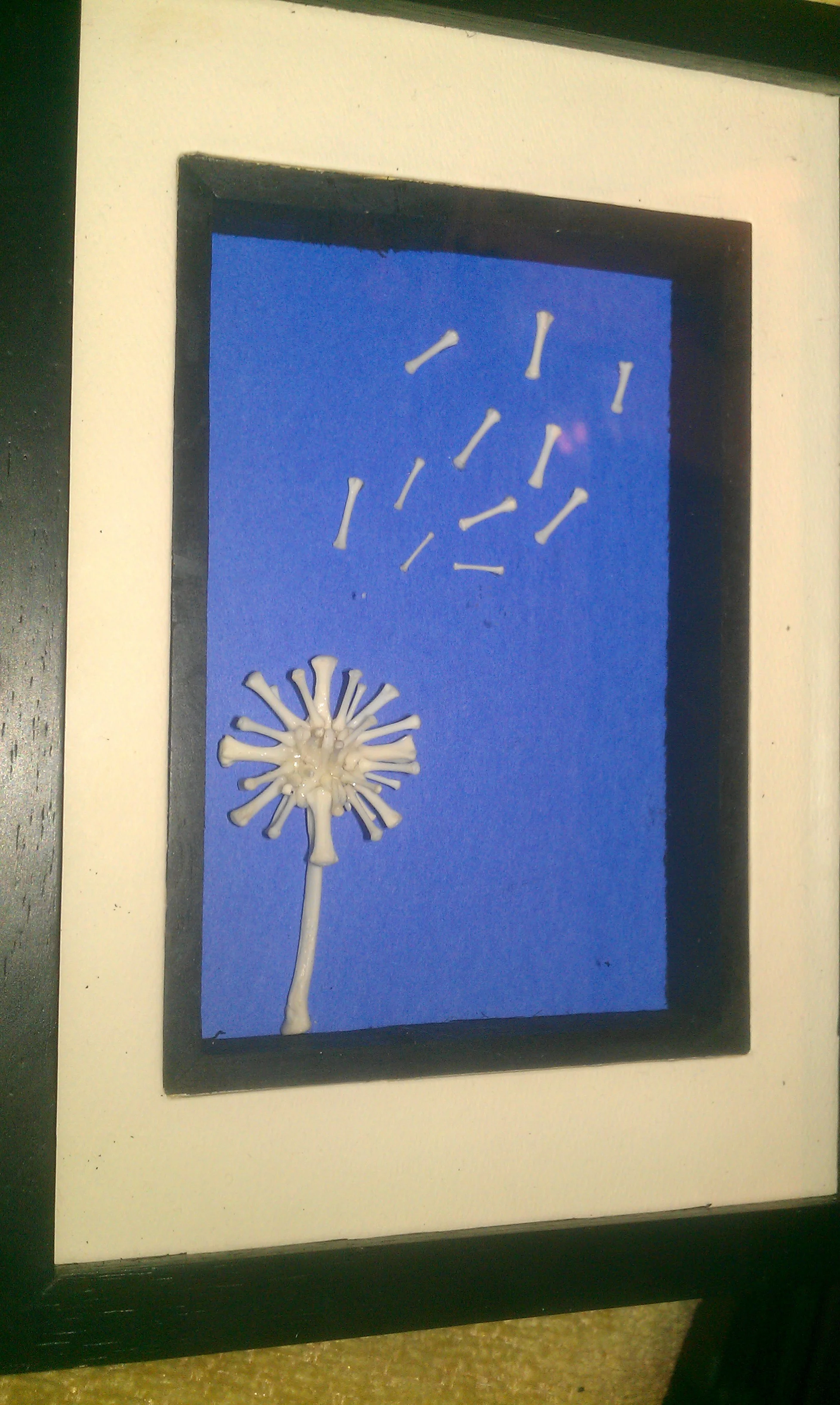 IMAG0258.jpg