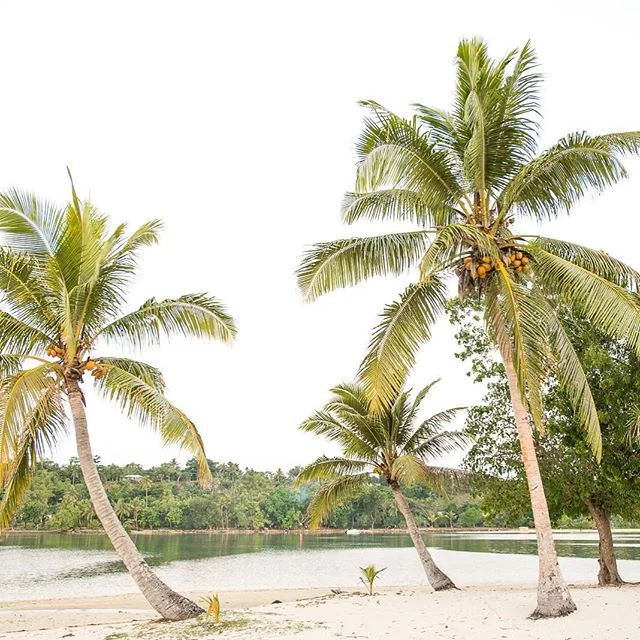 What a dream destination this was #Vanuatu #erakorisland #erakorislandwedding #dreamdestination #dreamdestinations #weddingphotographers