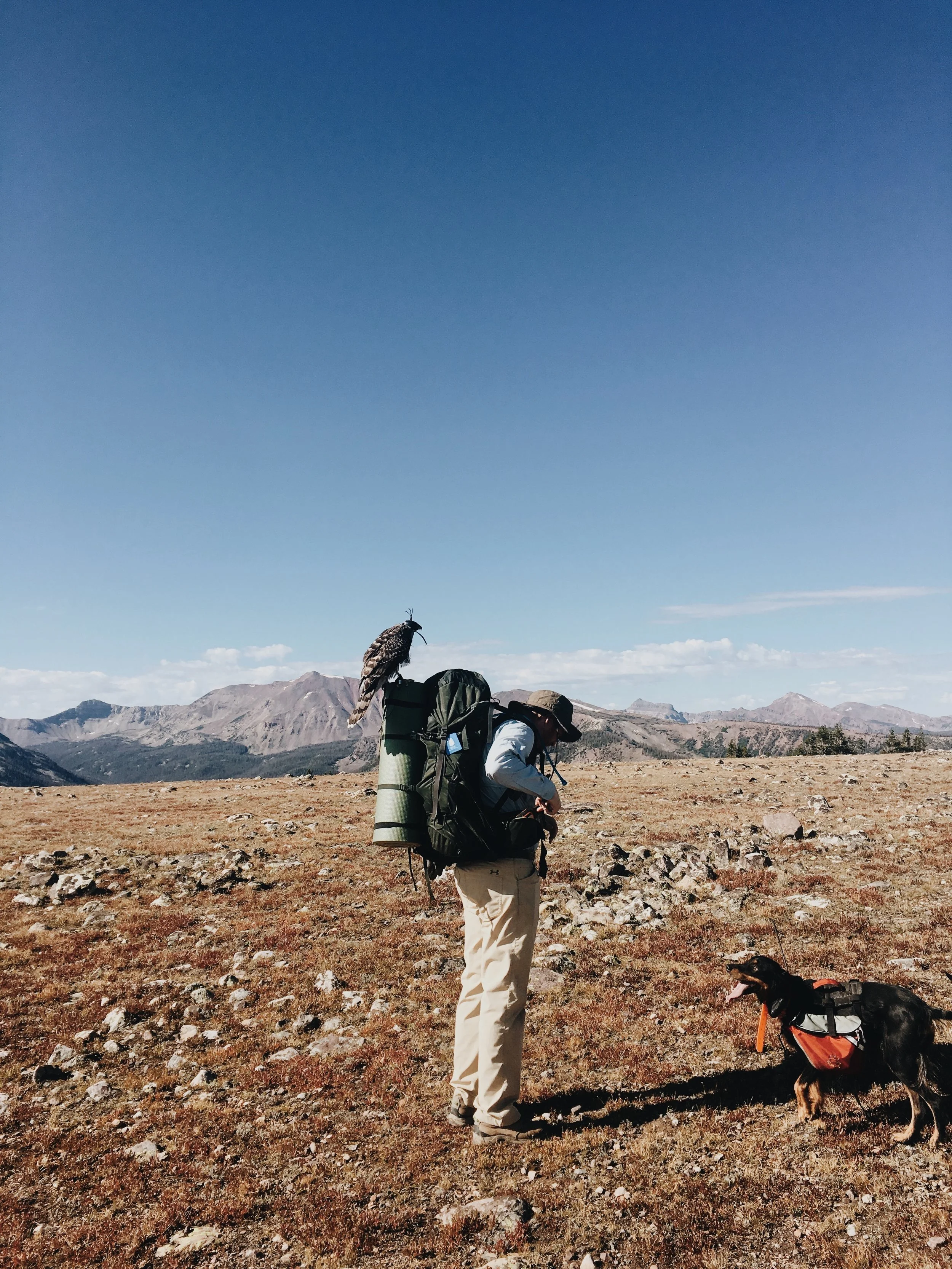 Episode 18: Caleb Stroh - Goshawks On Mountaintops