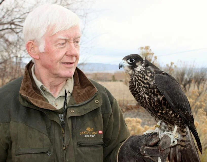 Feb, 2013, Greg Thomas with Scarlet, his Pete Widener bred (2011) Peregrine.