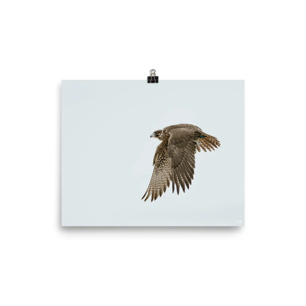 mockup_Transparent_Transparent_8x10.jpg