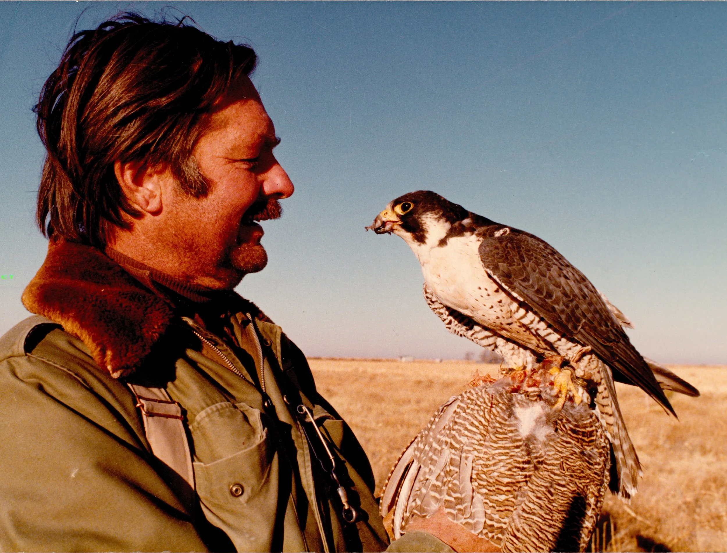 Episode 63: Kent Carnie, The Archives of Falconry