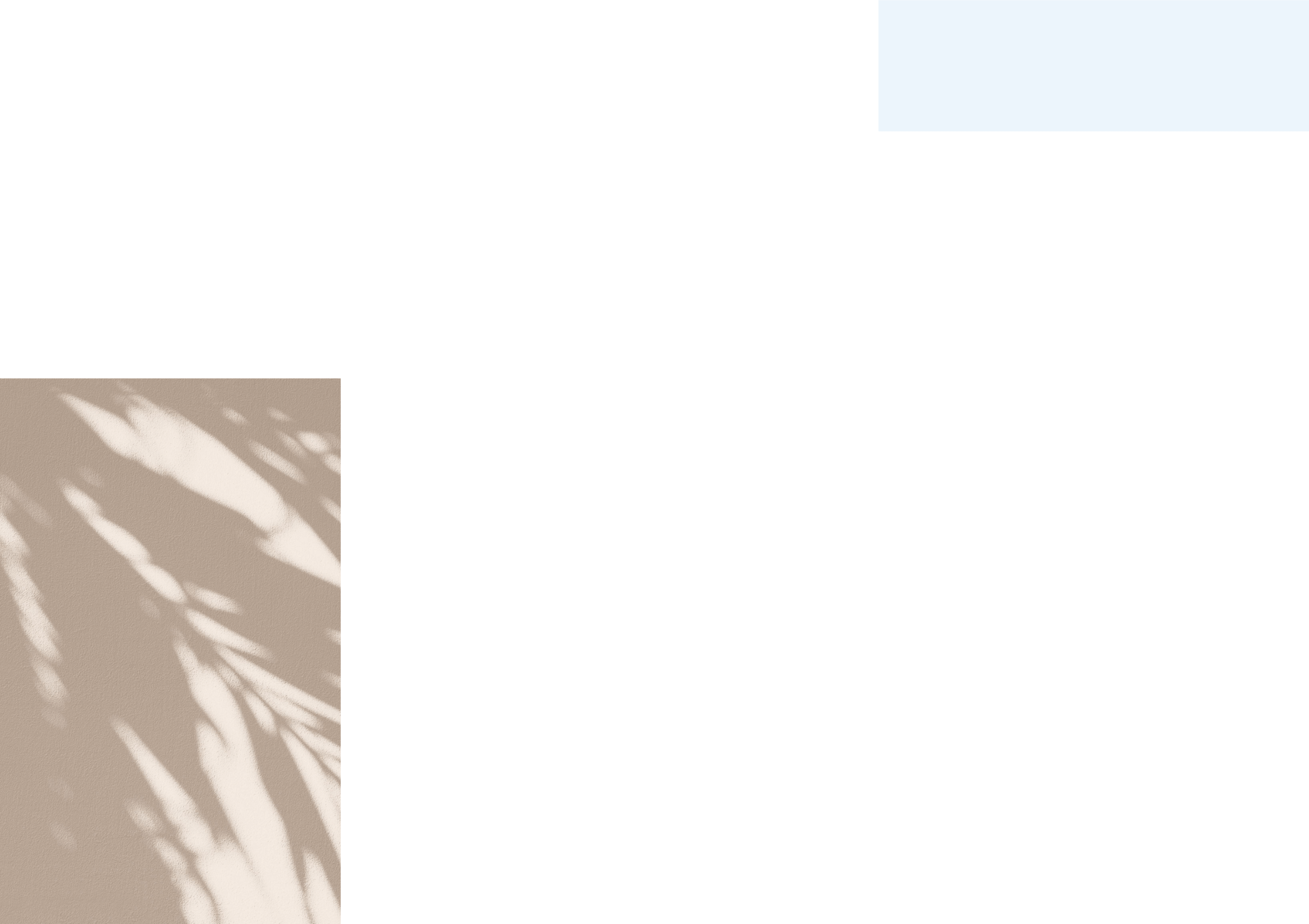 9_Services_Number 2 Banner.png