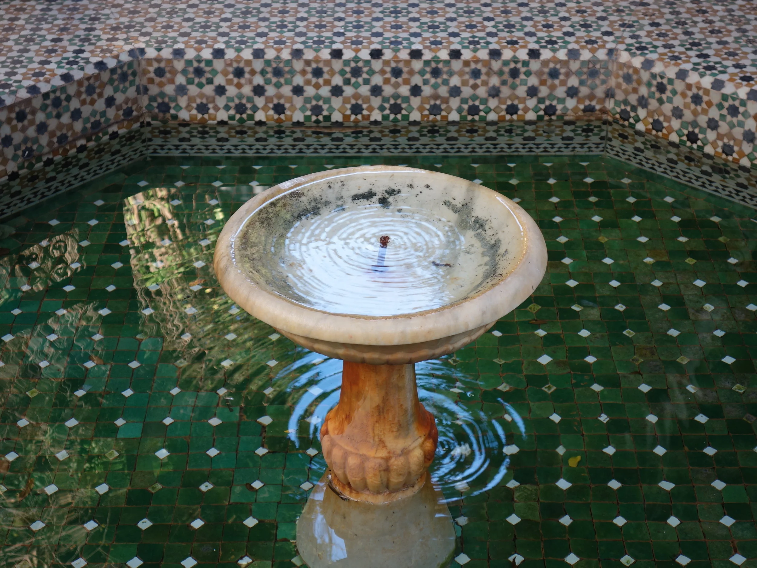 DSC04604.JPG