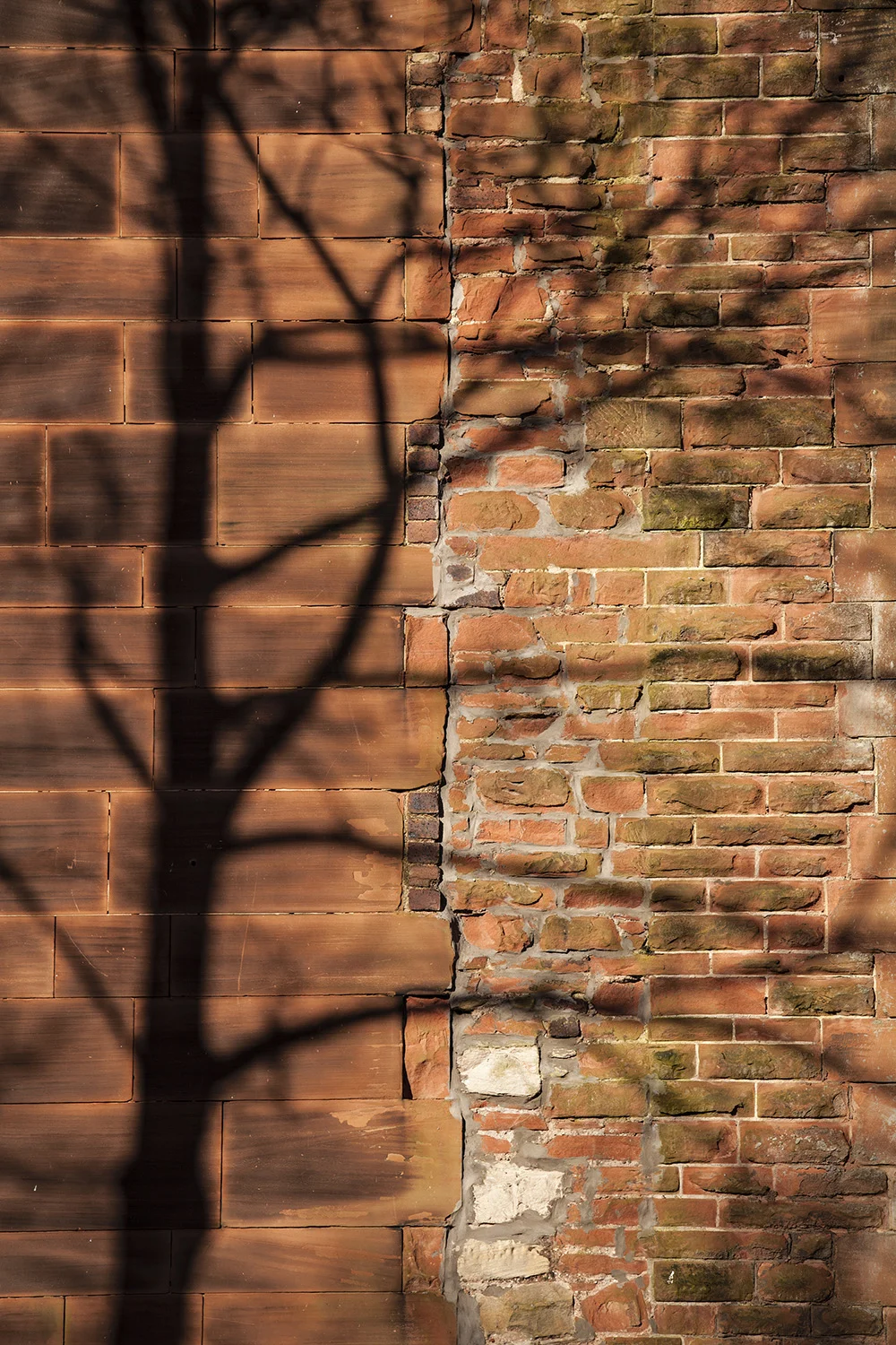 Shadows on Stone copy.jpg