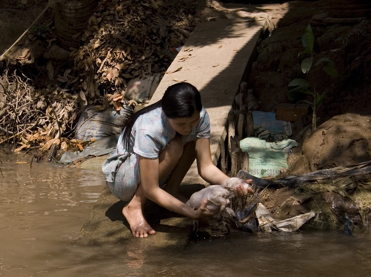 Girl Washing Dog copy.jpg