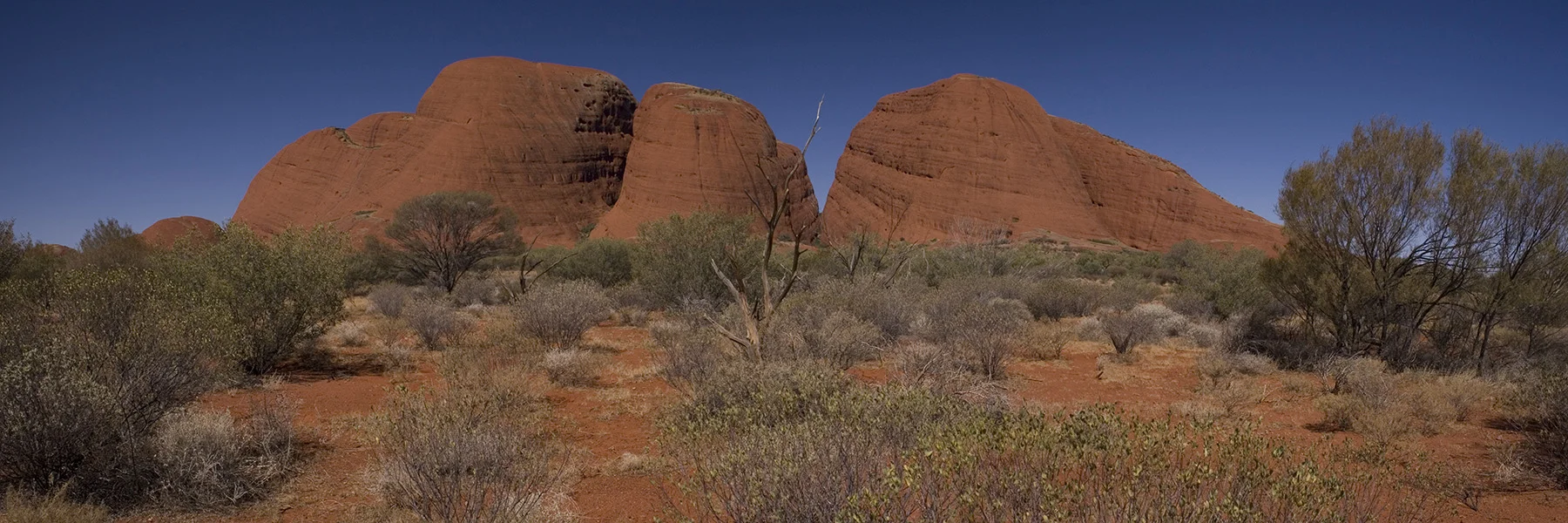 Kata Tjuta final wider copy.jpg