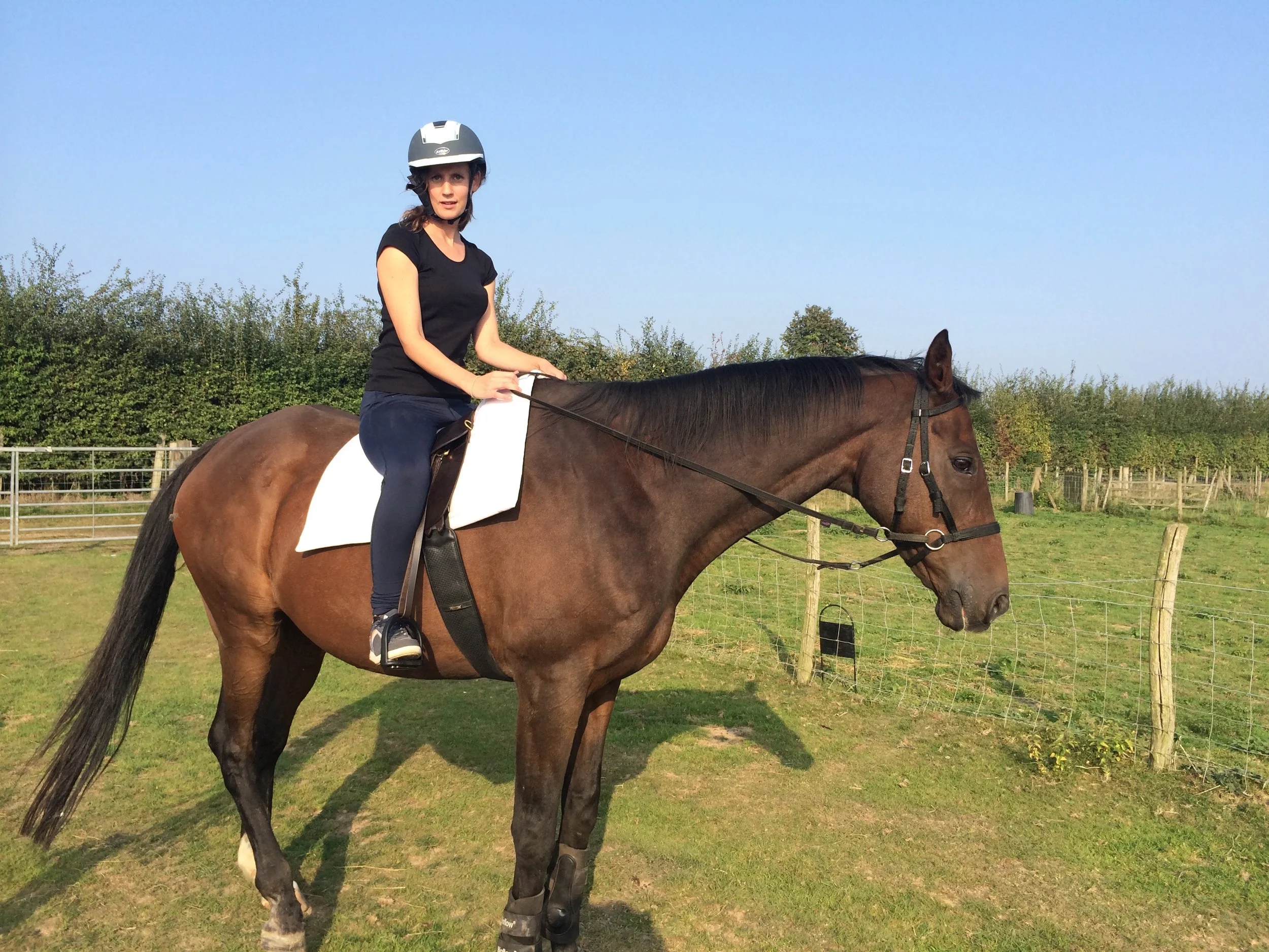 Total Contact Saddle - the ultimate treeless saddle for horse and rider
