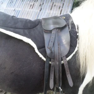 Black total contact saddle pad