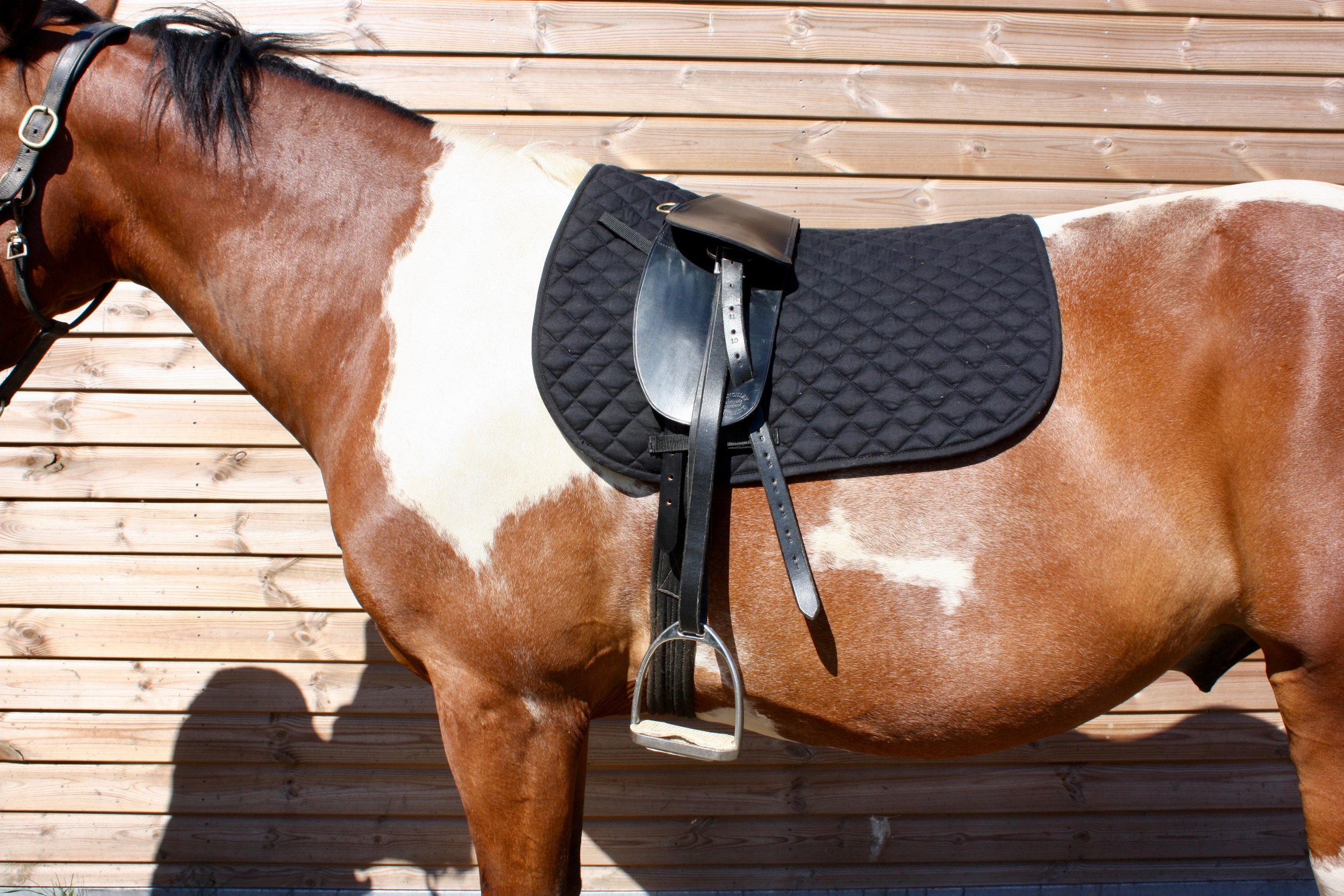 Total Contact Saddle