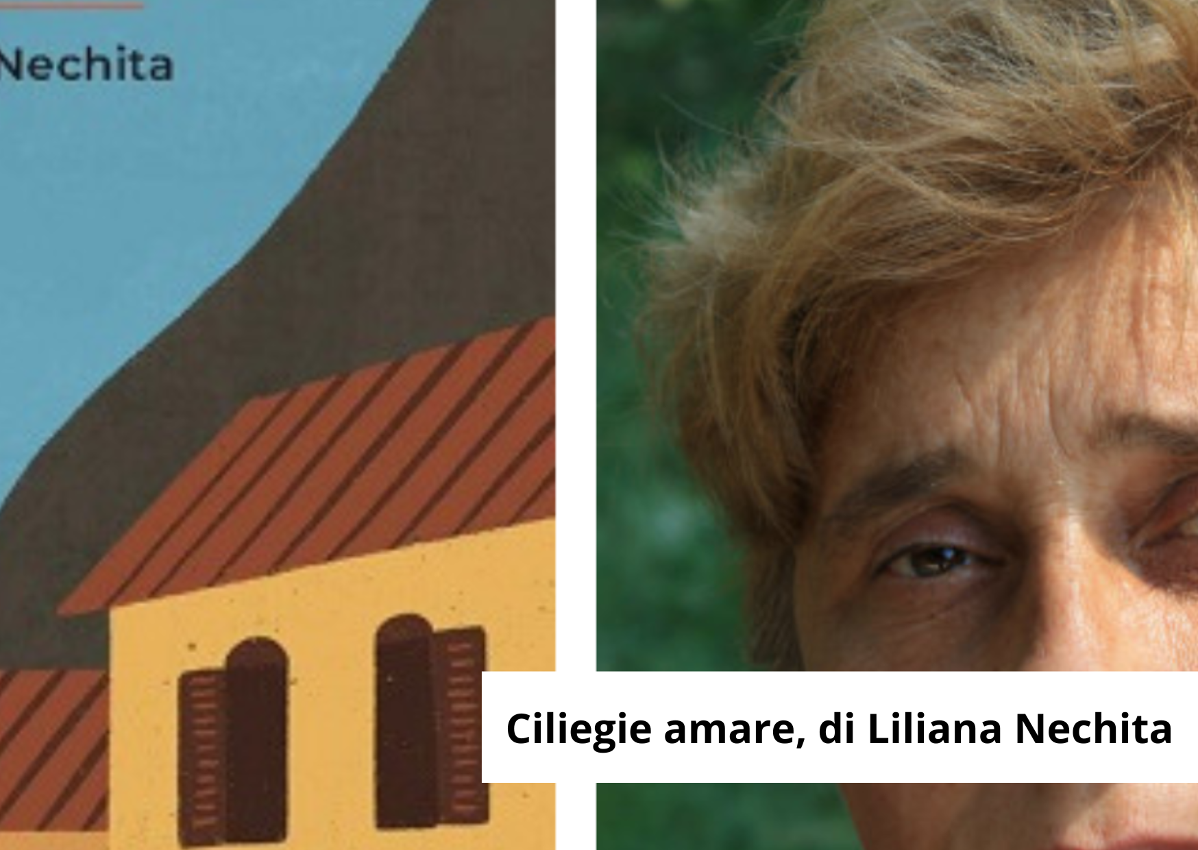 avventura - 2026-03-13T090002.394.png