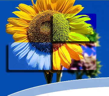 Scarborough Flower Club