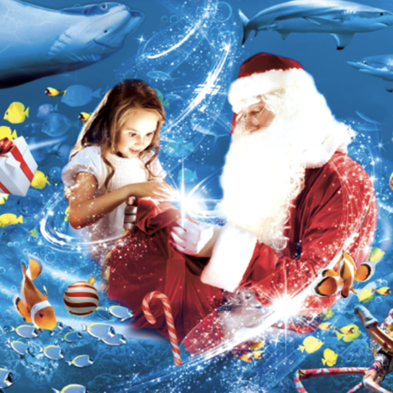 SANTA’S UNDERWATER WONDERLAND