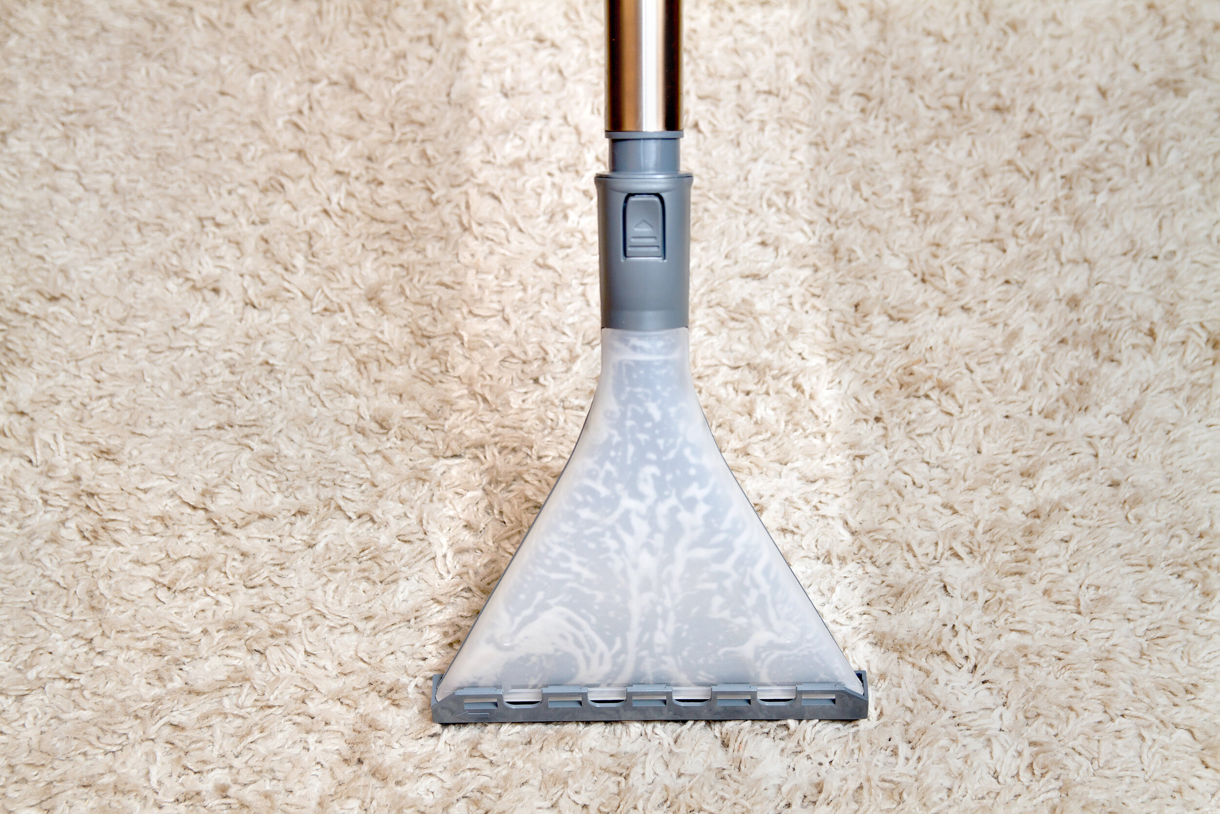 carpet-cleaning-vacuum-cleaner (1).jpg