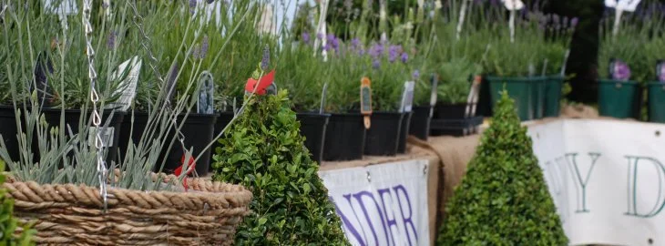 Gardeners’ Fair at Burton Agnes Hall