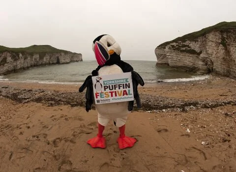 Yorkshire Puffin Festival