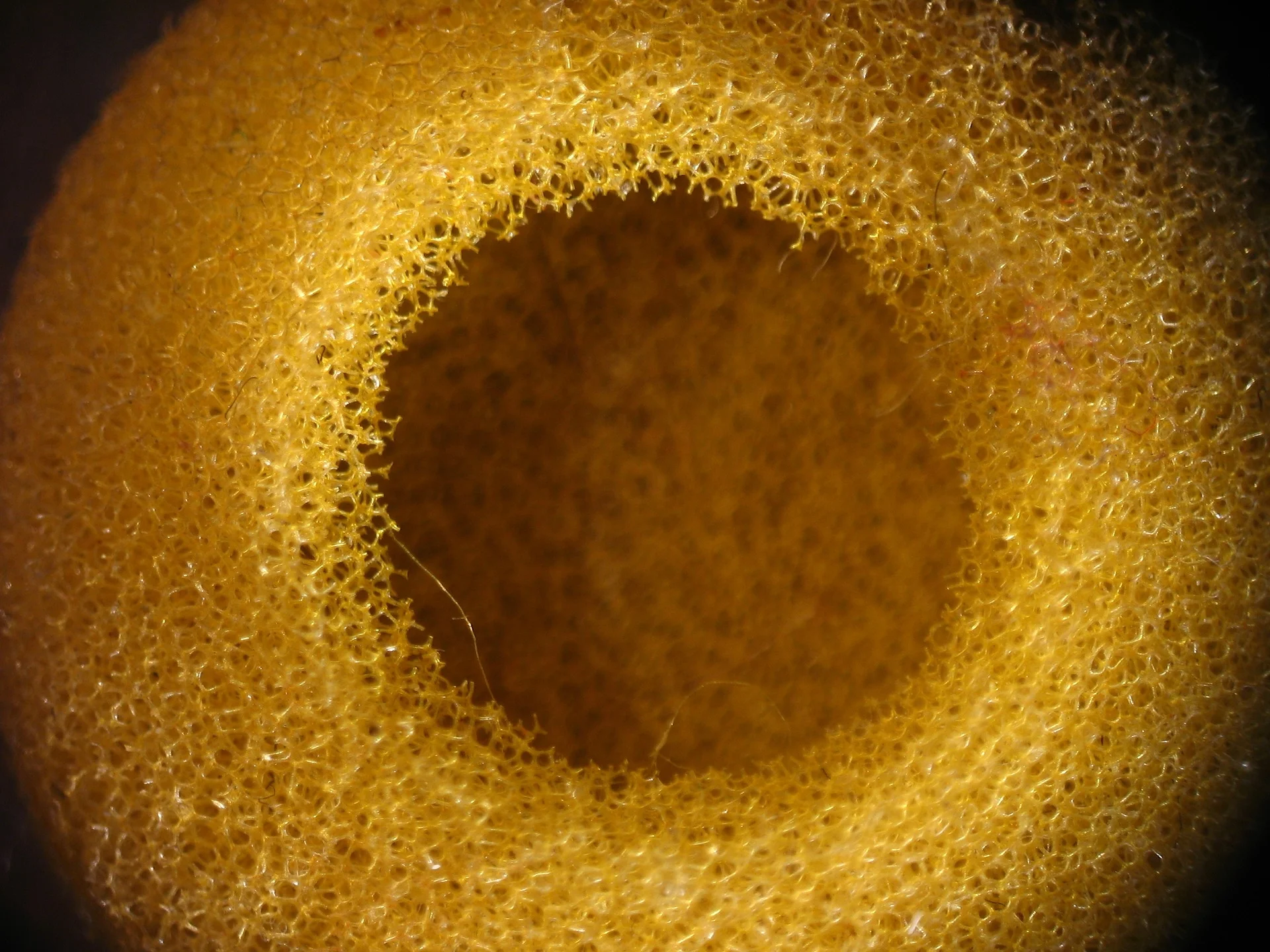 texture-2255236_1920.jpg