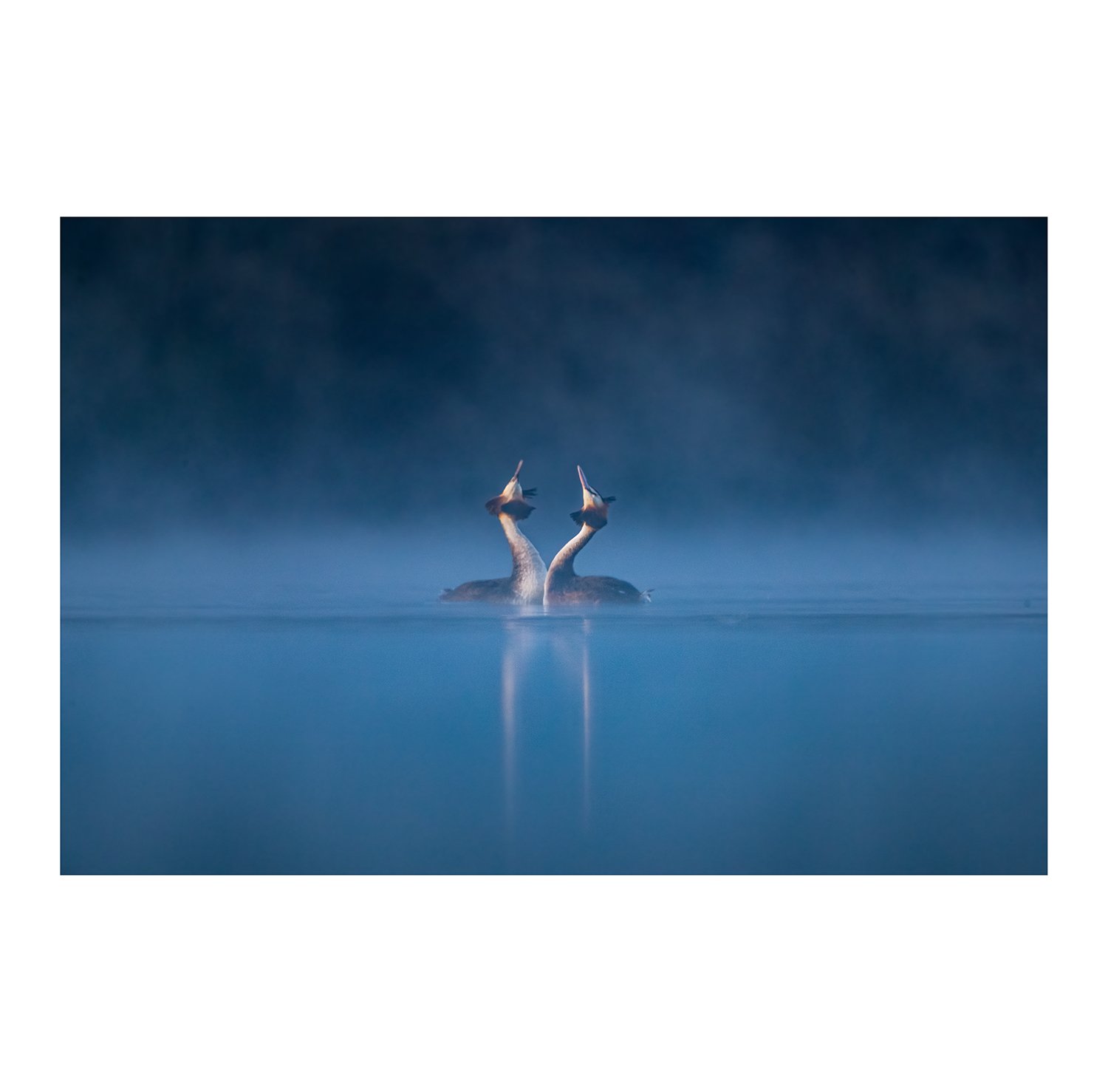 _36I4895-Edit-2-Edit-Edit square.jpg