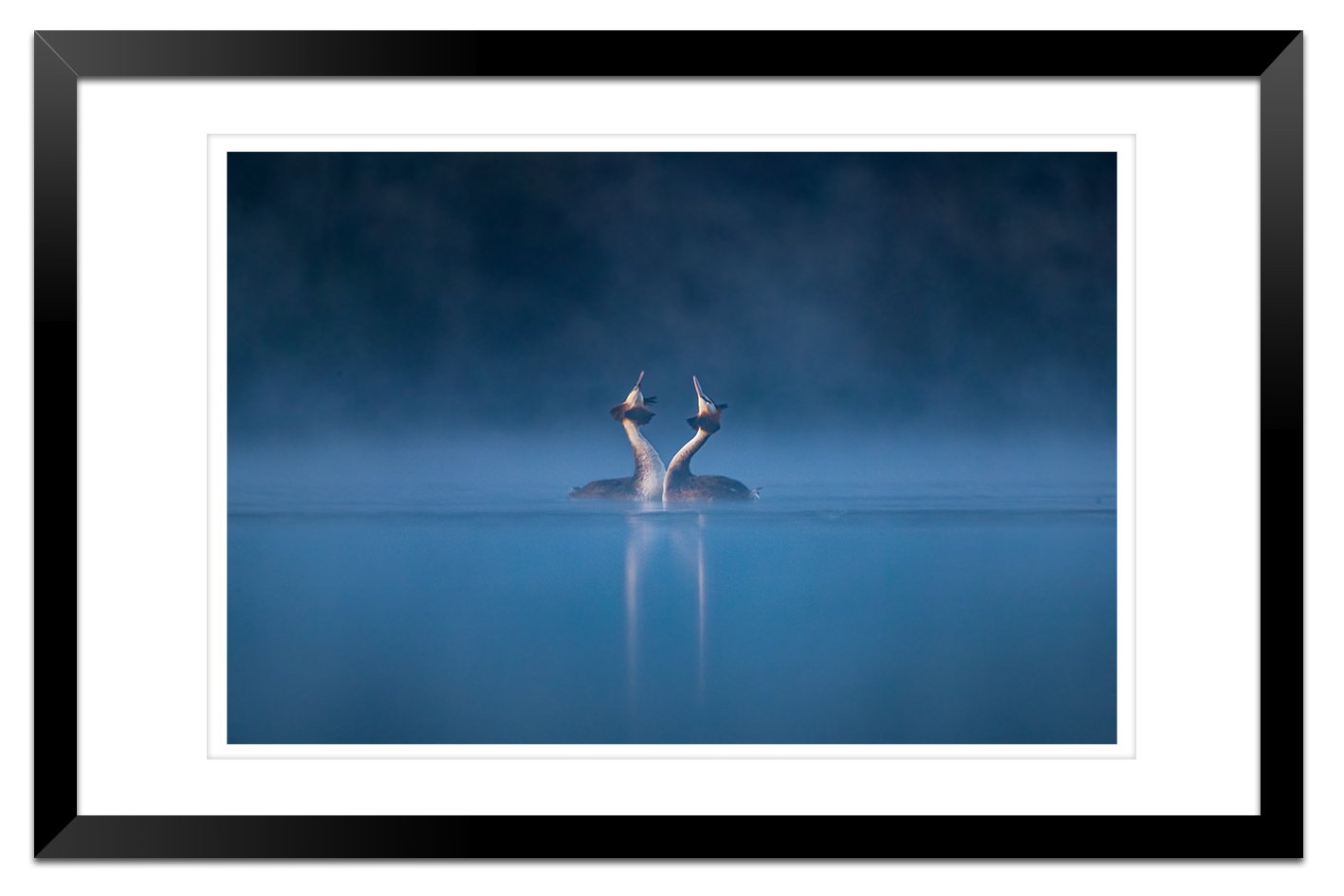 _36I4895-Edit-2-Edit-Edit Framed.jpg