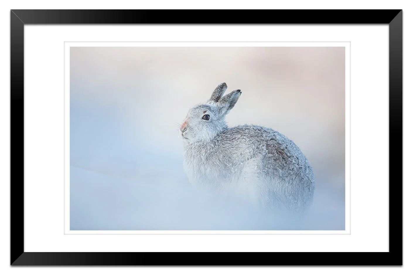 7X6A8634-Edit-Edit framed.jpg