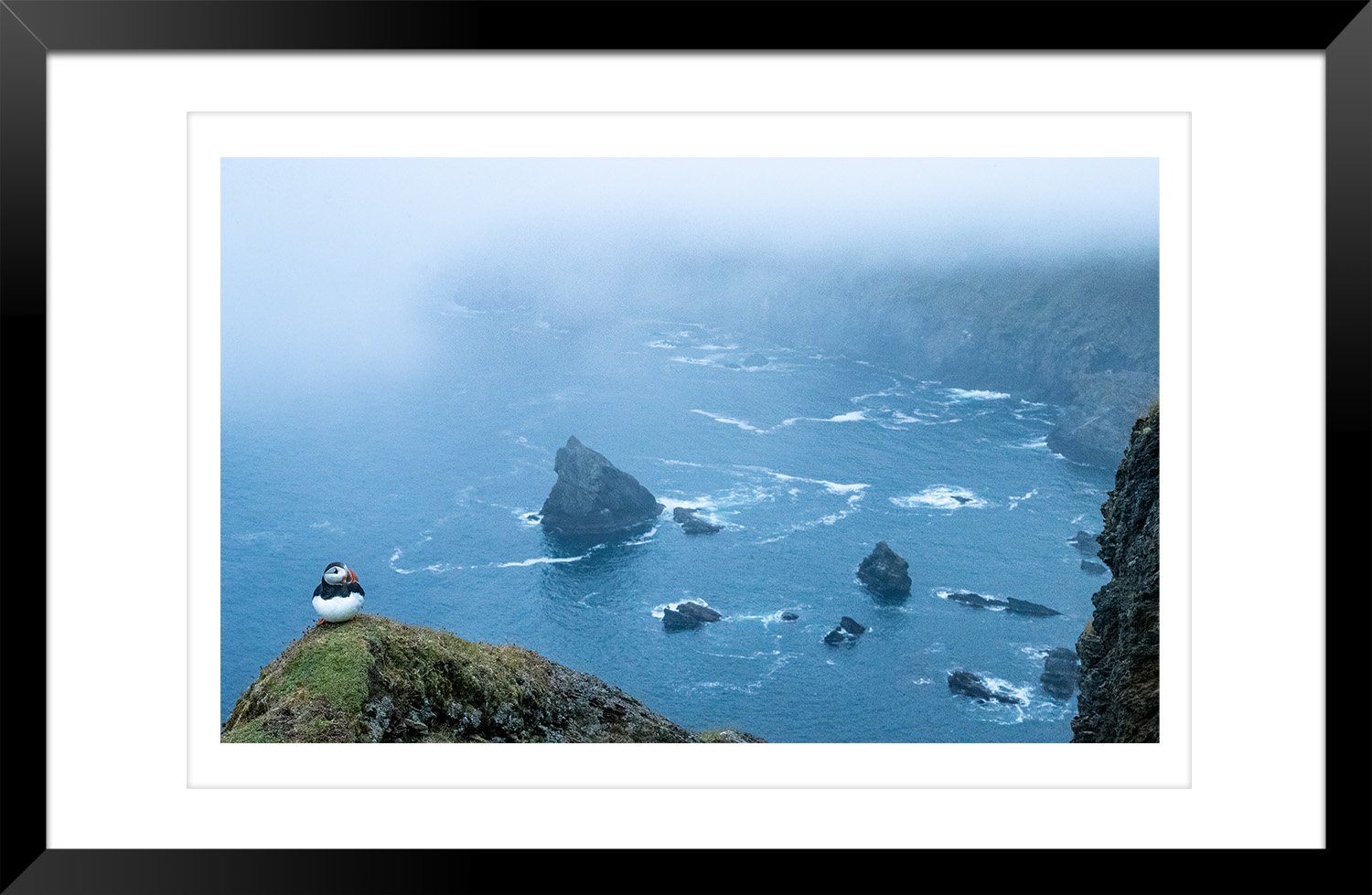 Atlantic_Puffin - Ewan_Crosbie - PuffinPoint - Fine_Art_Wildlife_Photography_Print - Frame.jpg