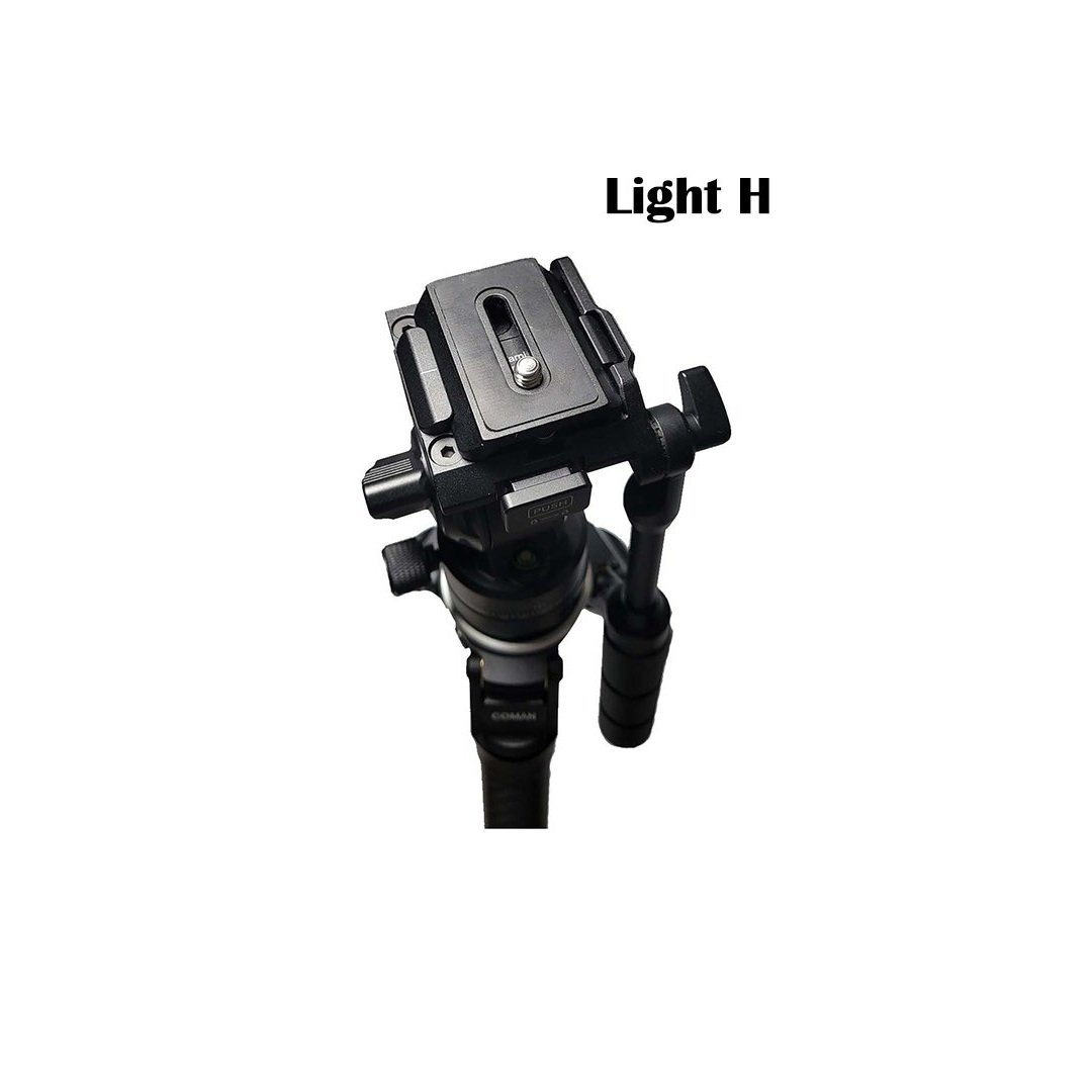 Light+H+5.jpg
