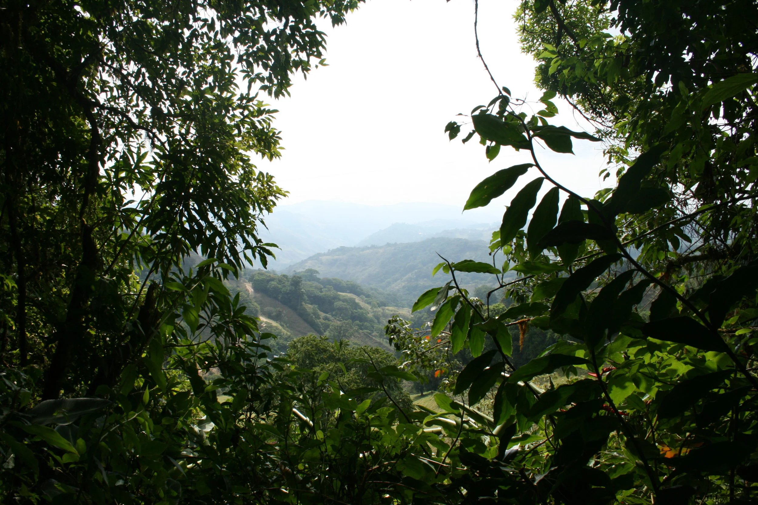 costarica 595.jpg