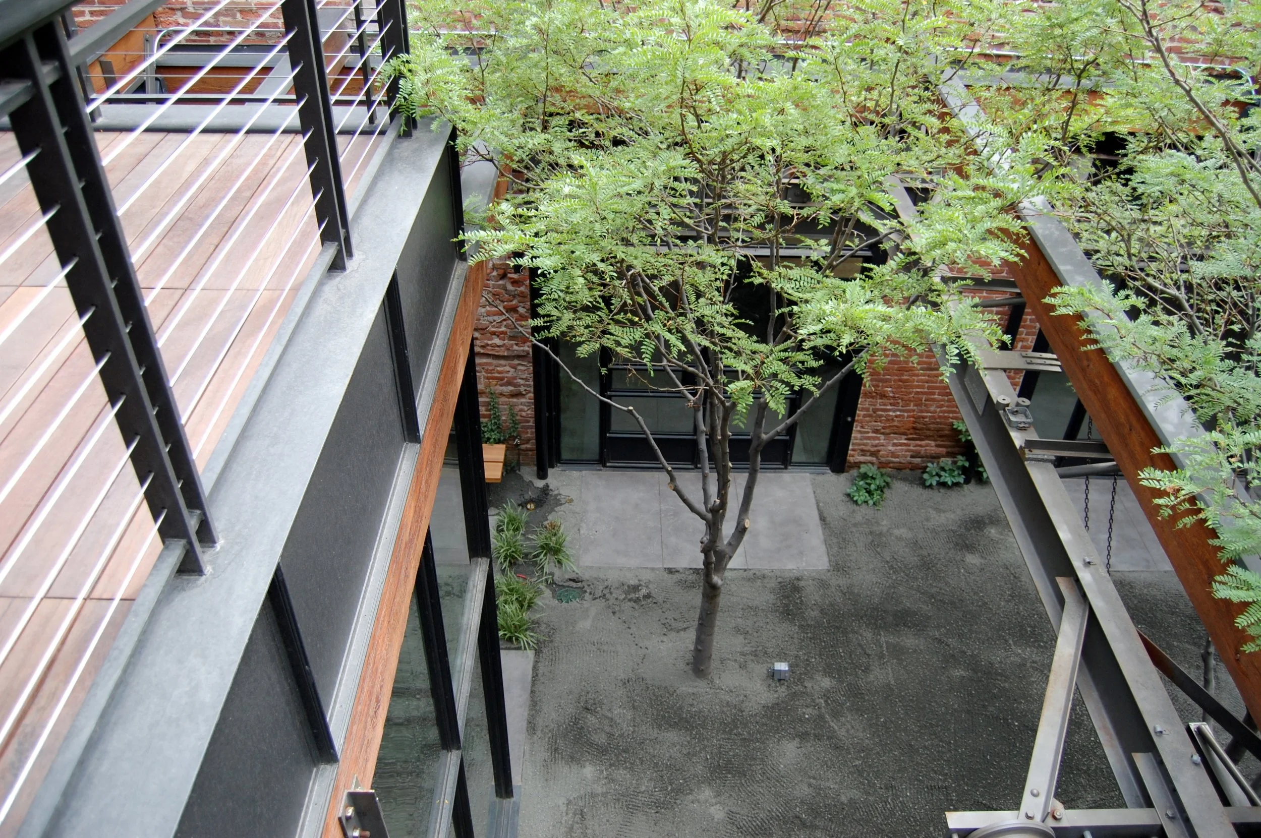 DSC_0218.jpg