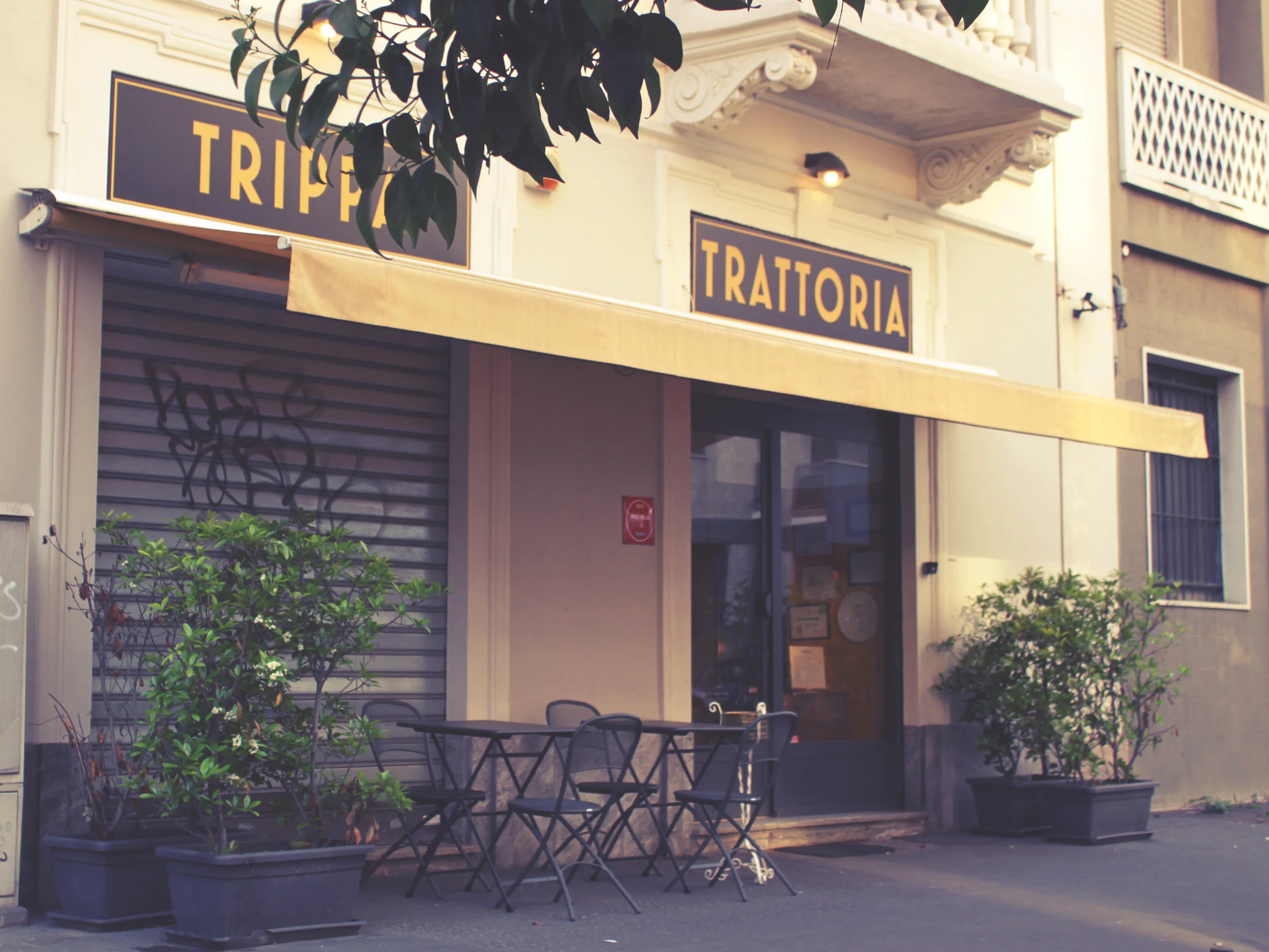 Trattoria Trippa is the best new opening in Milan