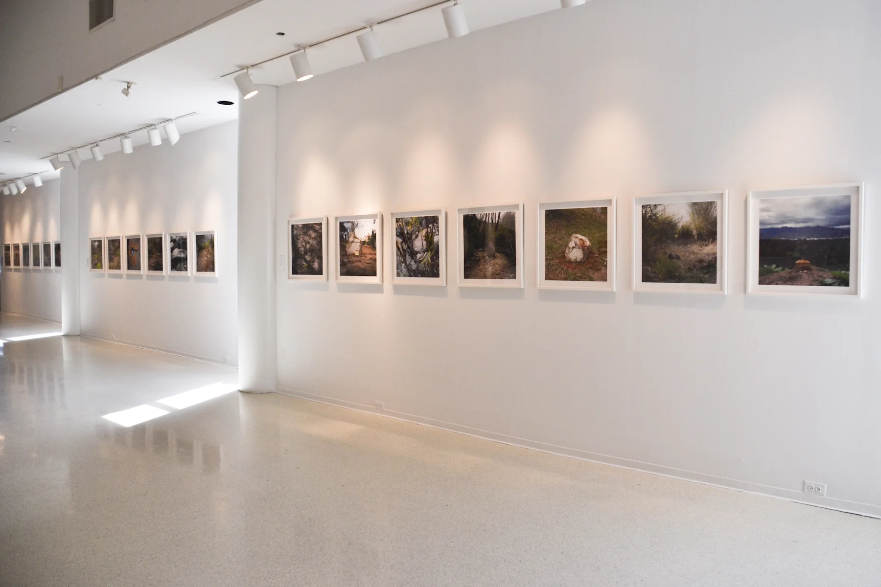 En Foco New Works - Longwood Gallery New York