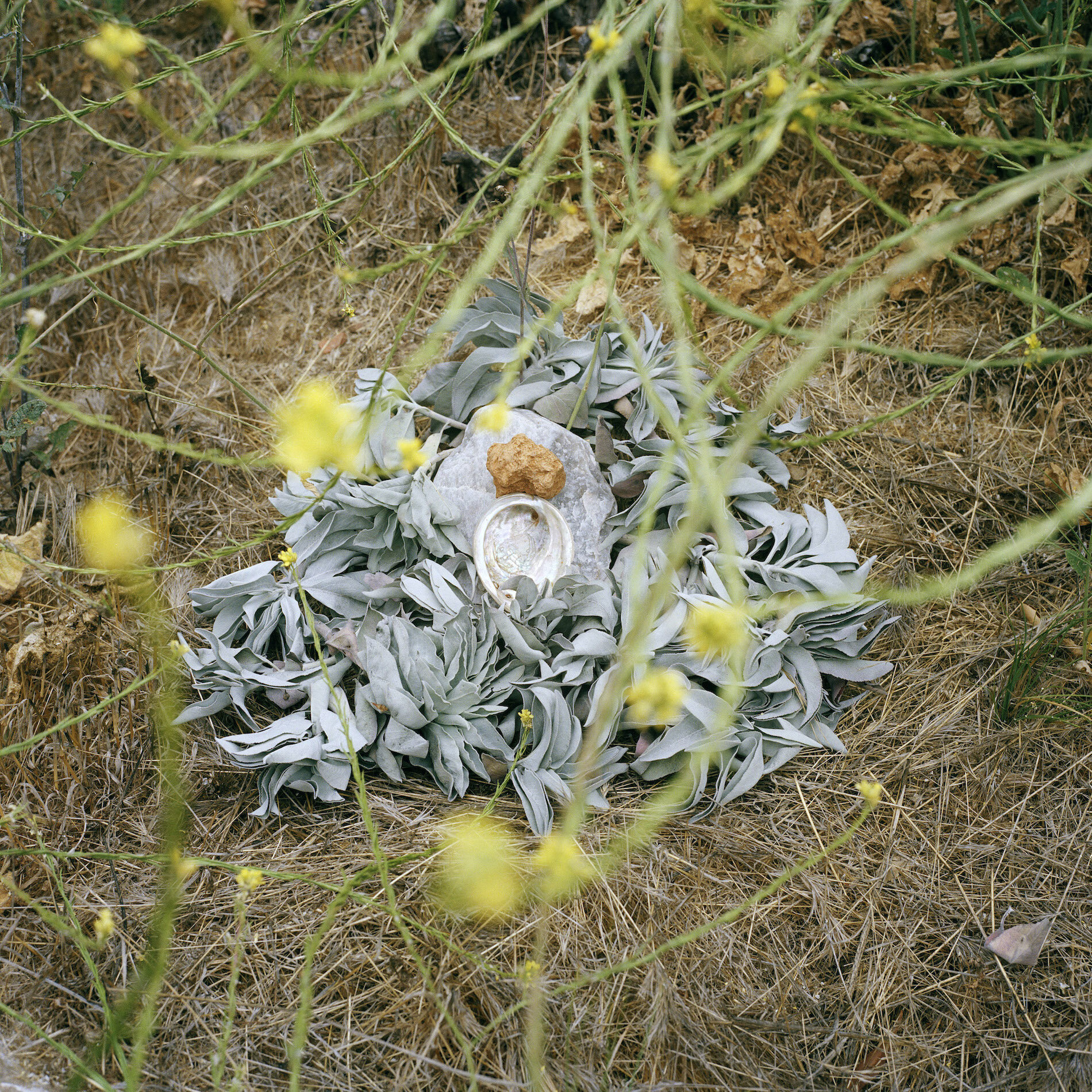 10_Breath, Spirit, Wind - Hikaayey.jpg