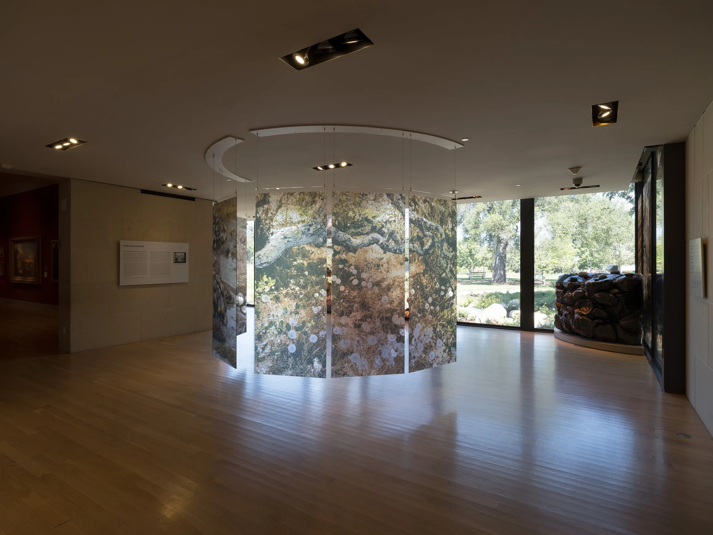 Mercedes_Dorame_20260415_026 copy.jpg