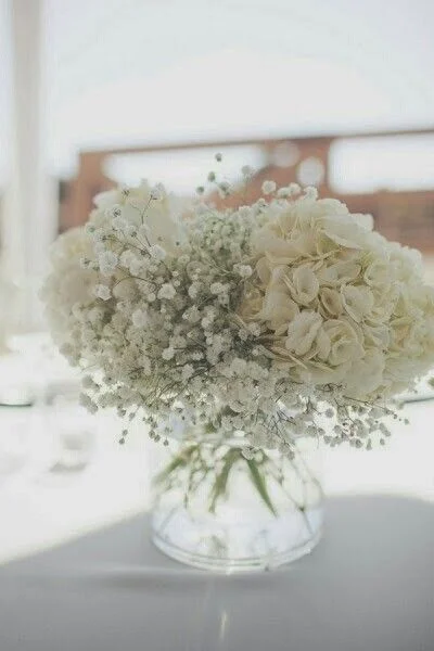 hydrangea and babies breath vase.jpg