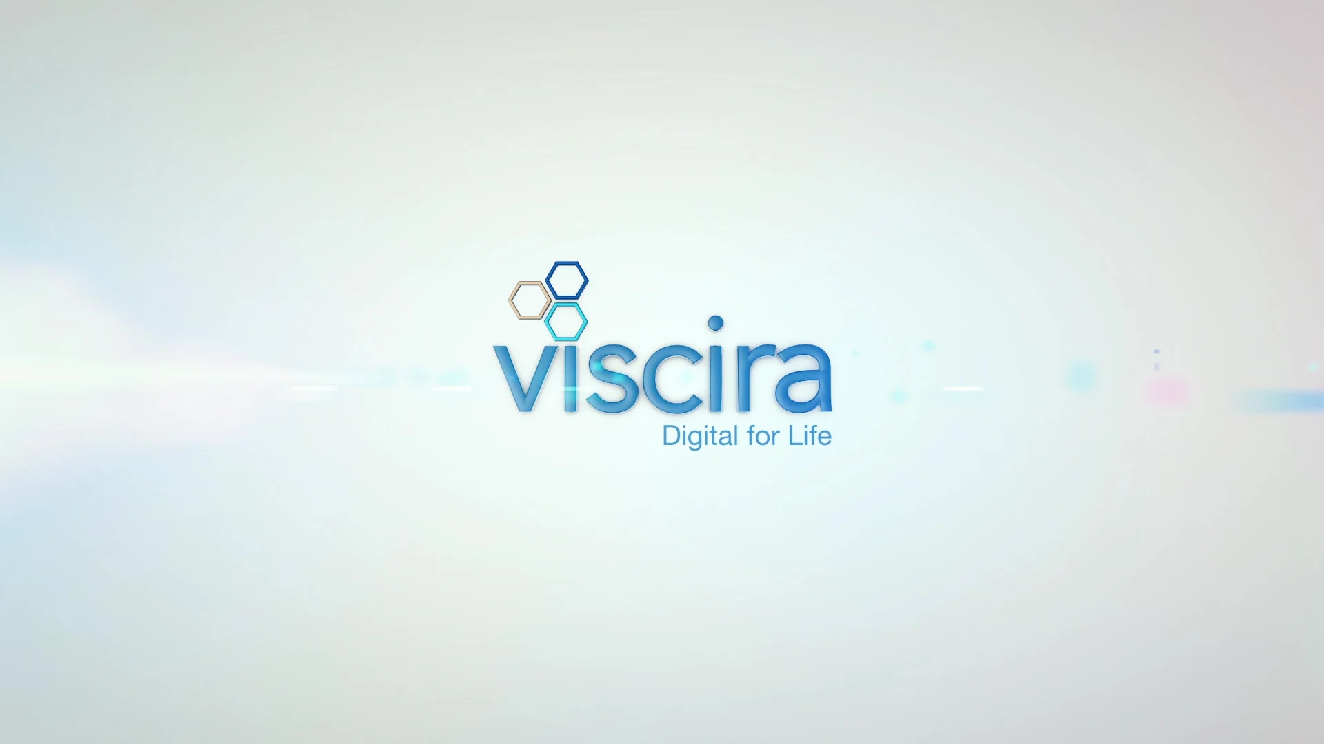 Viscira_08.jpg