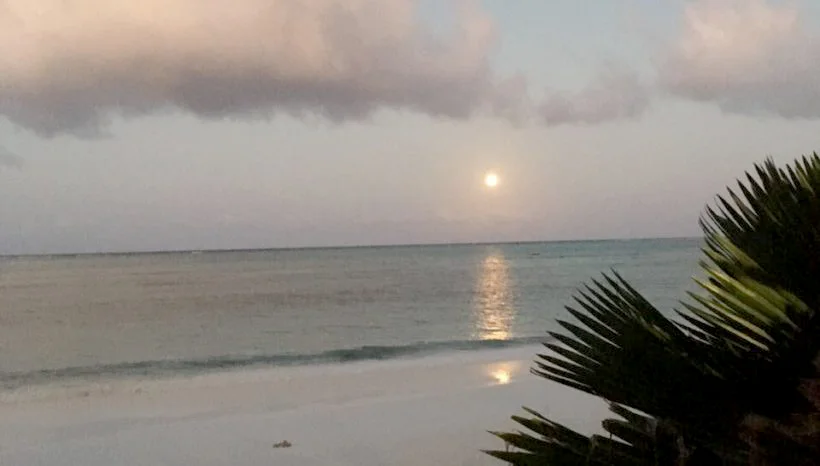 Corporate Mindfulness Meditation — what’s it really all about?
